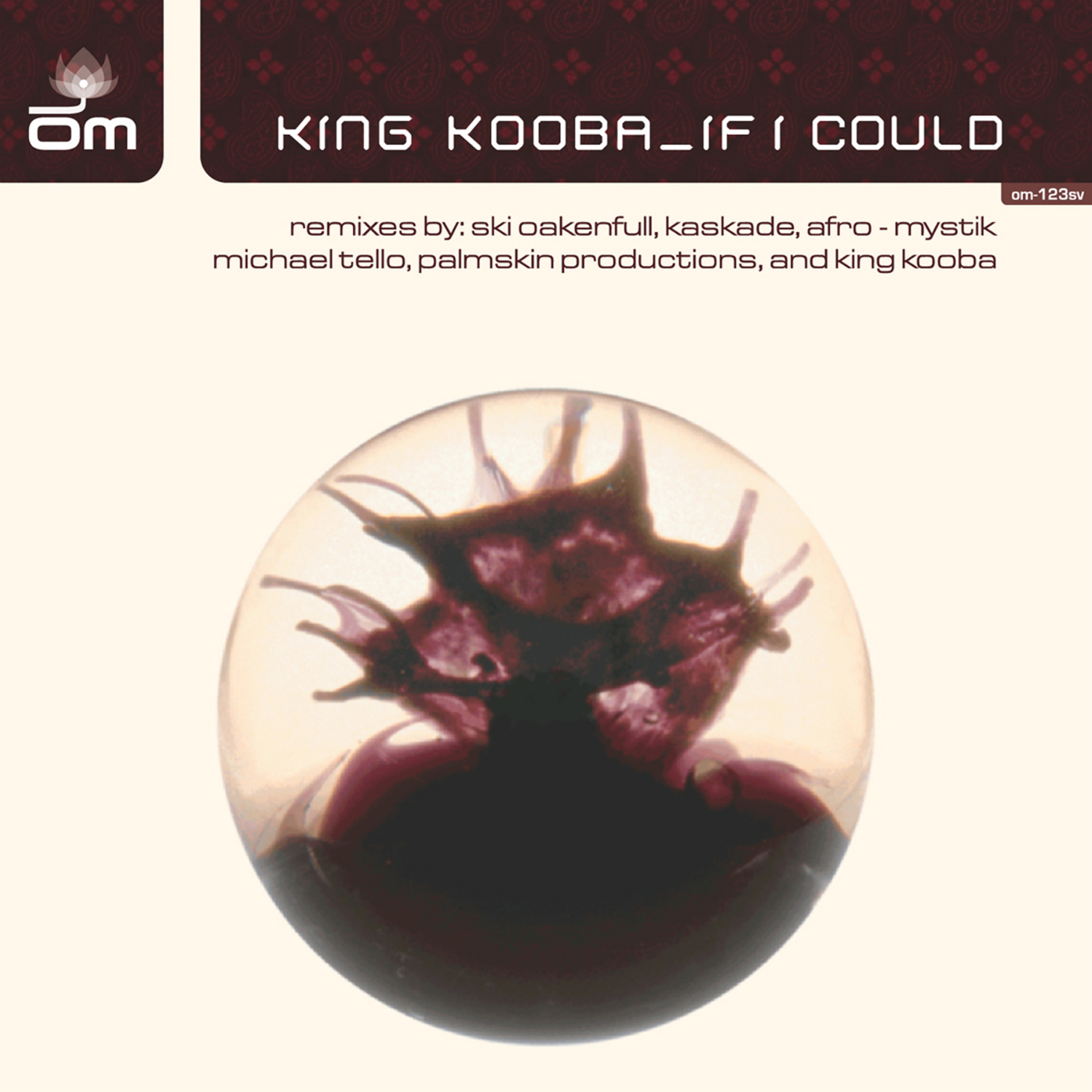 King Kooba - The Future