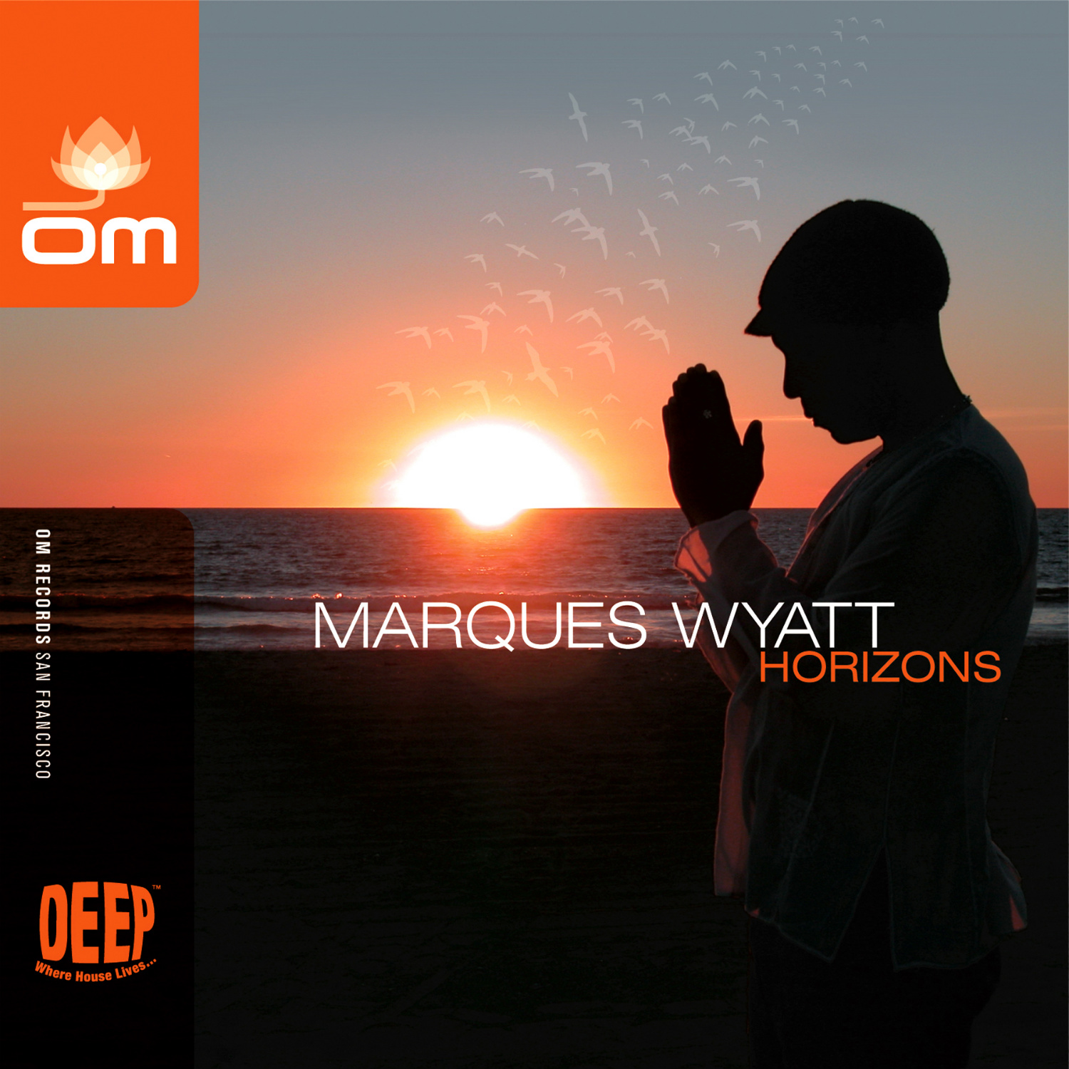 Various Artists - Horizons (Mixed by Marques Wyatt)