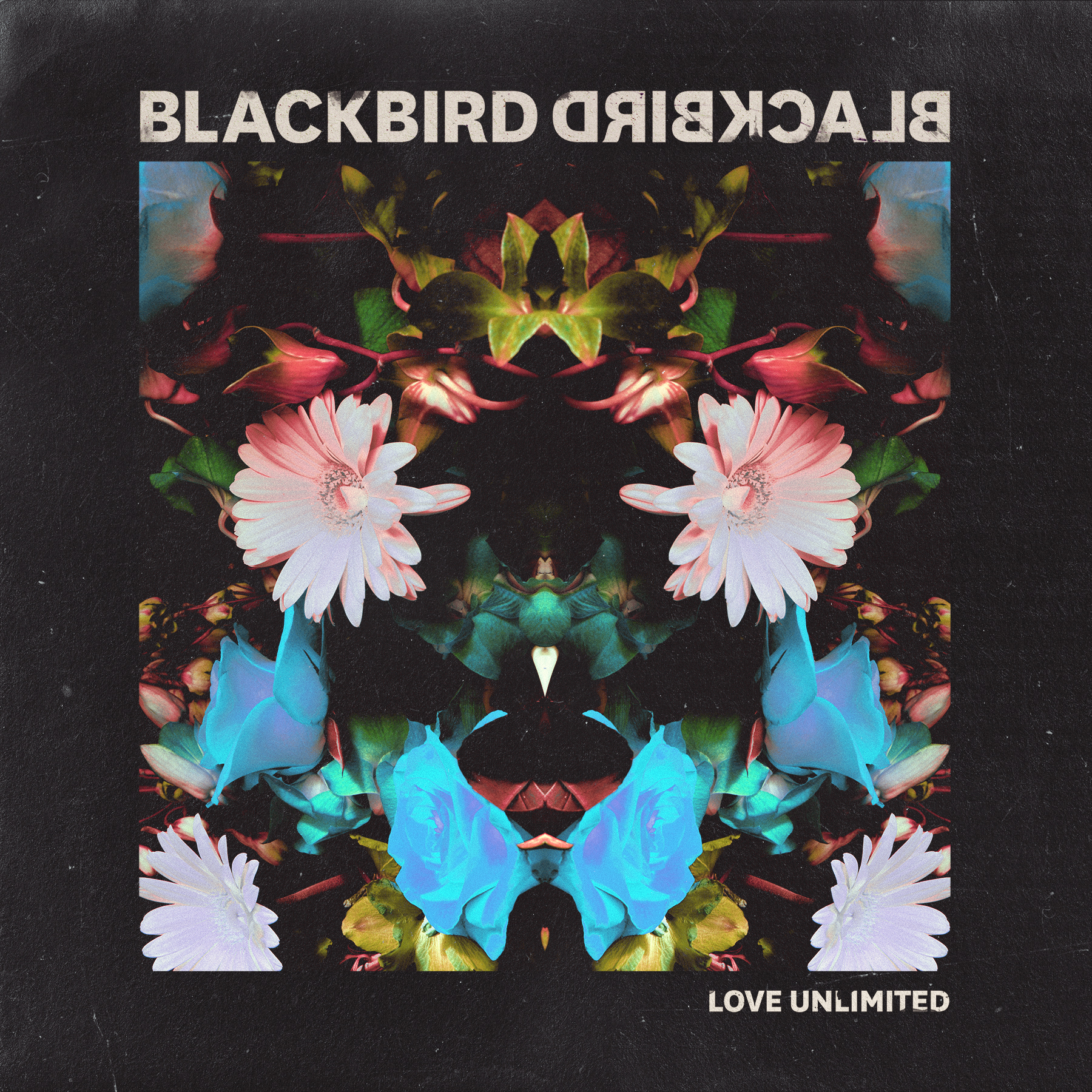 Blackbird Blackbird - Love Unlimited (Single)