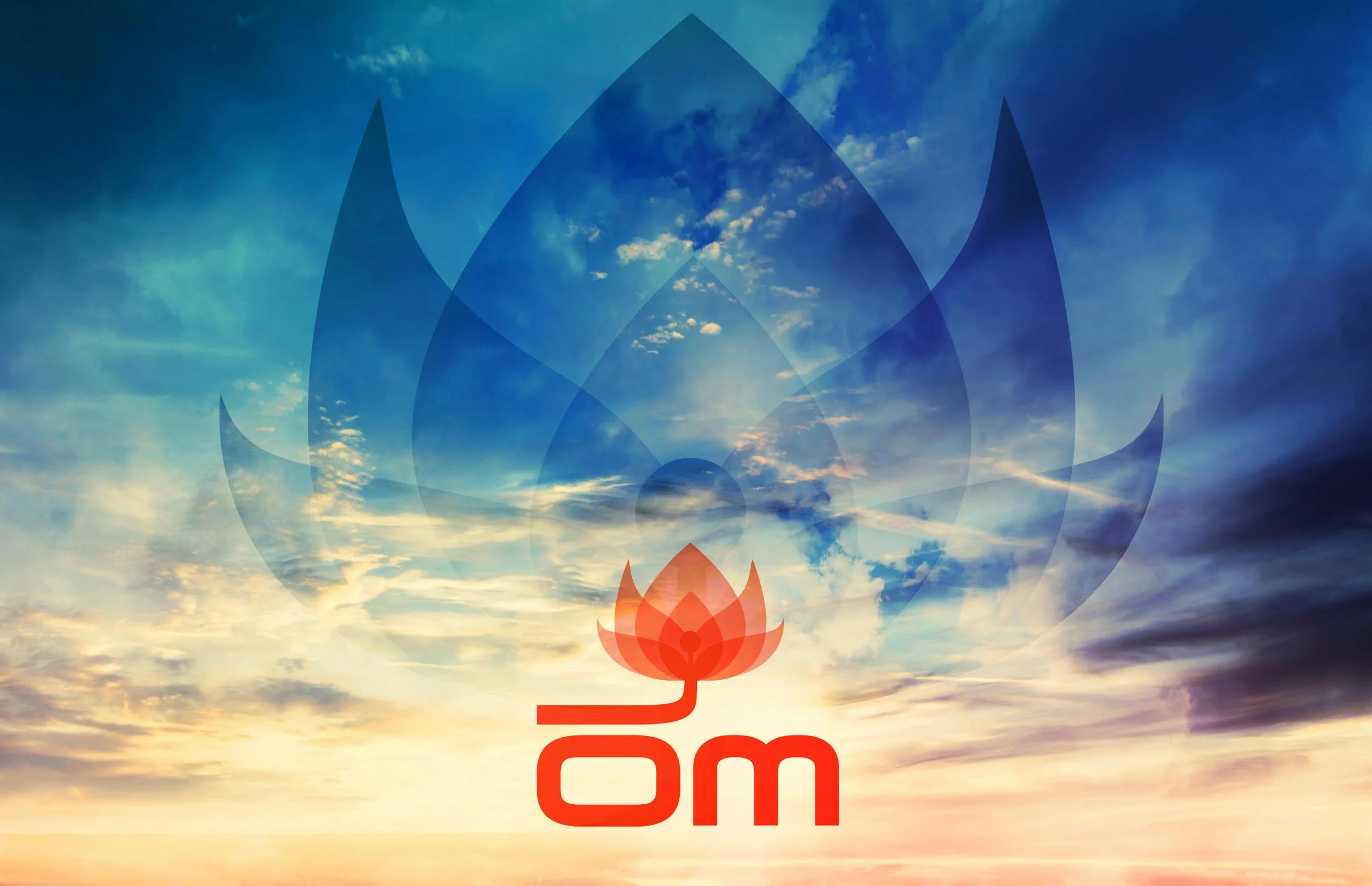 OM RECORDS - 30 YEARS