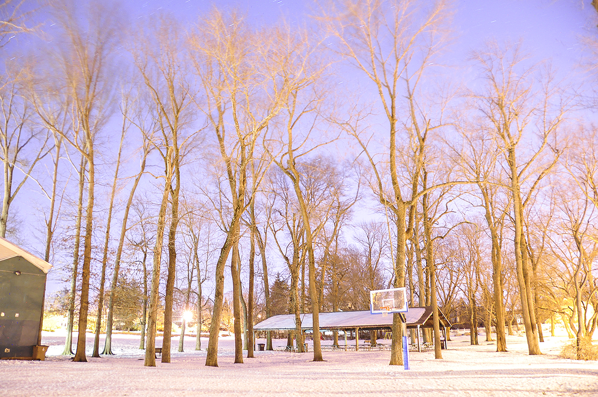 DSC_0050a.jpg