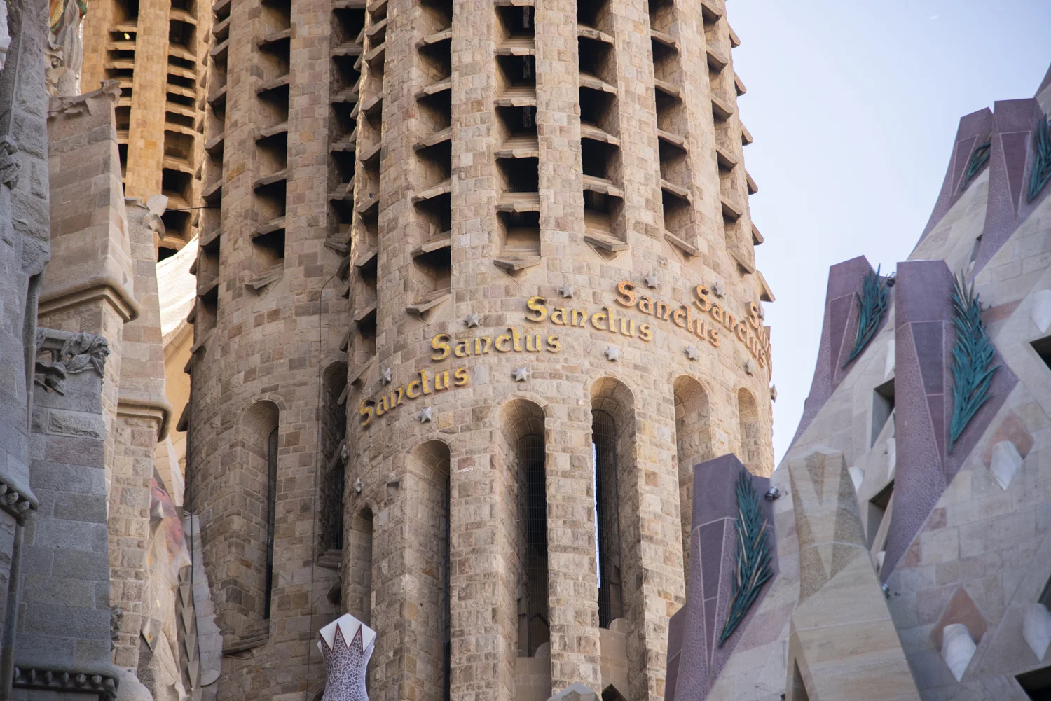 DSC_5489_1.jpg