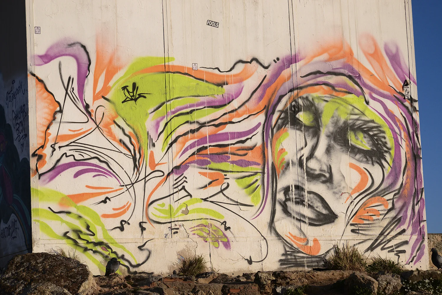 DSC_5395 (1)_1.jpg