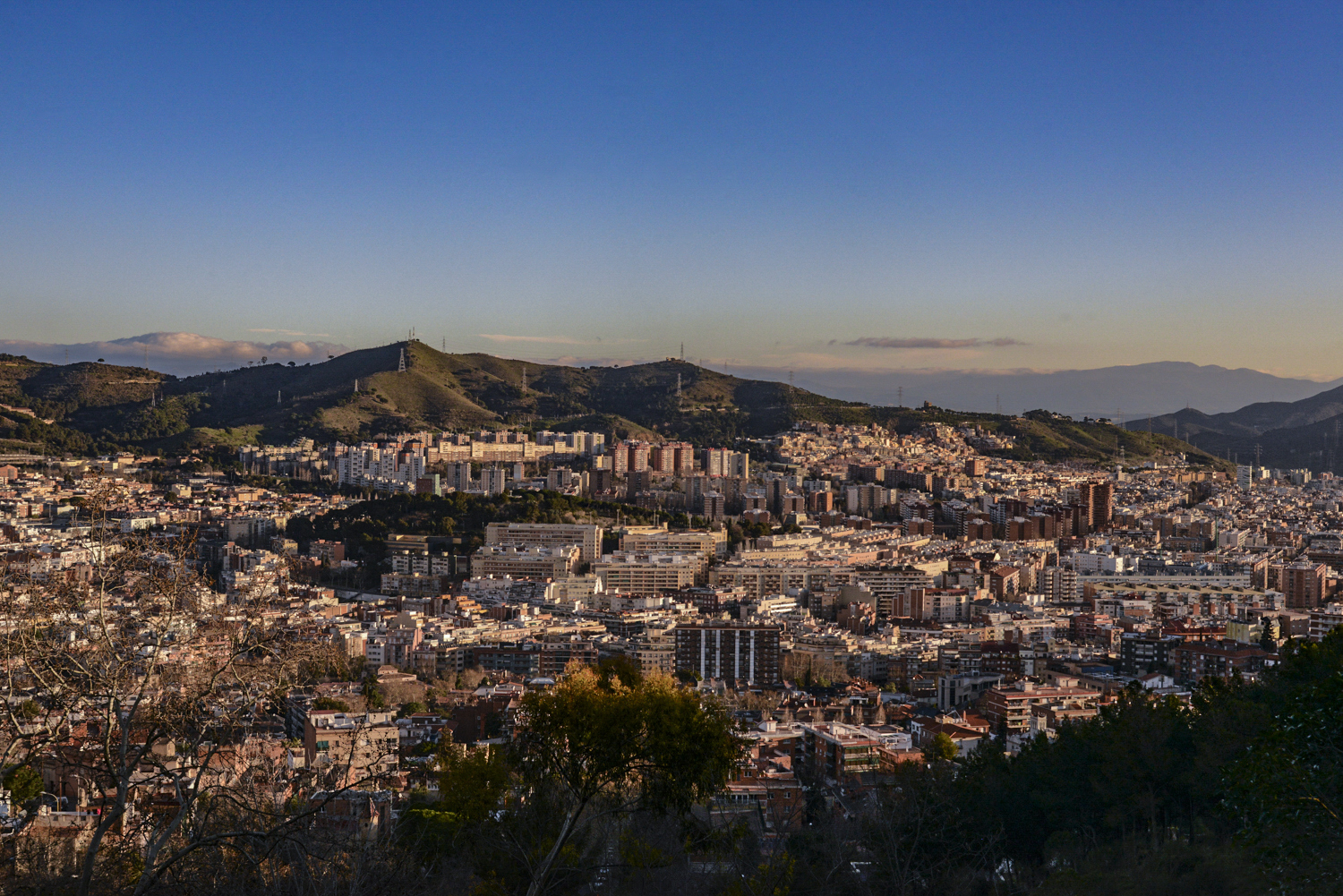 DSC_5355_1_1.jpg