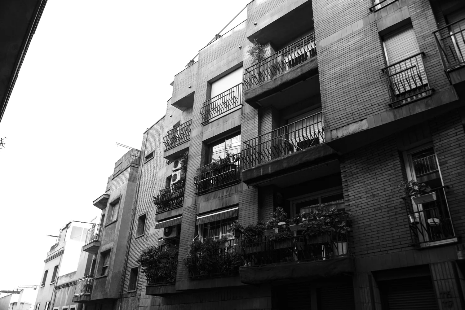 DSC_5457_1.jpg