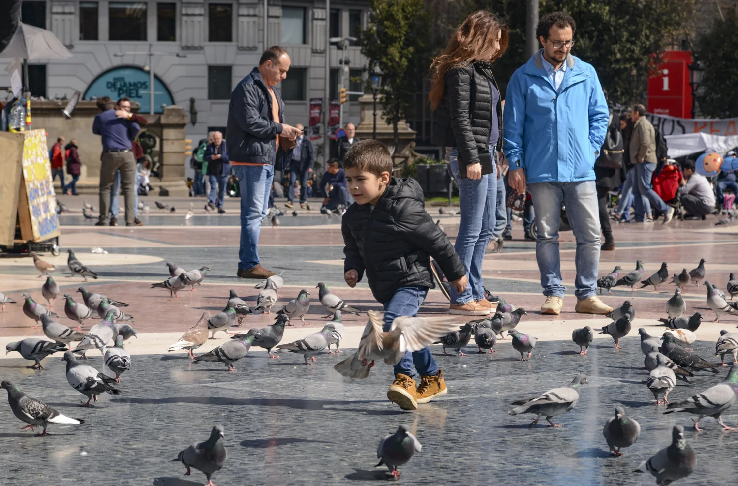 DSC_5706_1_1.jpg