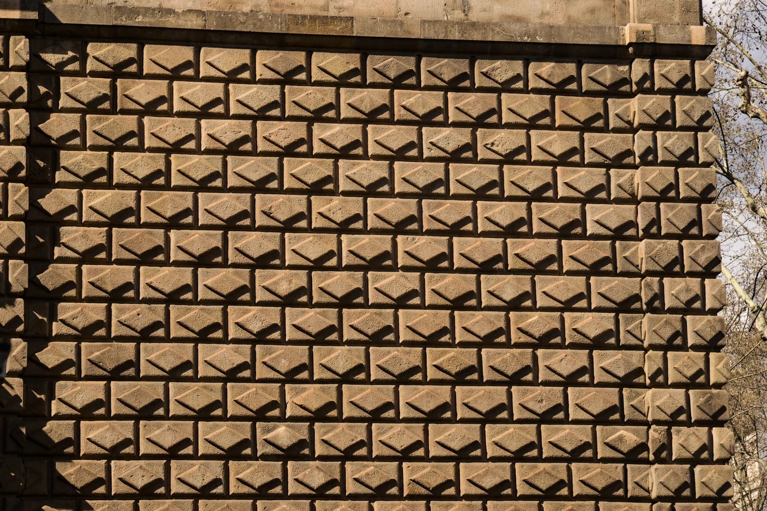 DSC_5759_1_1.jpg