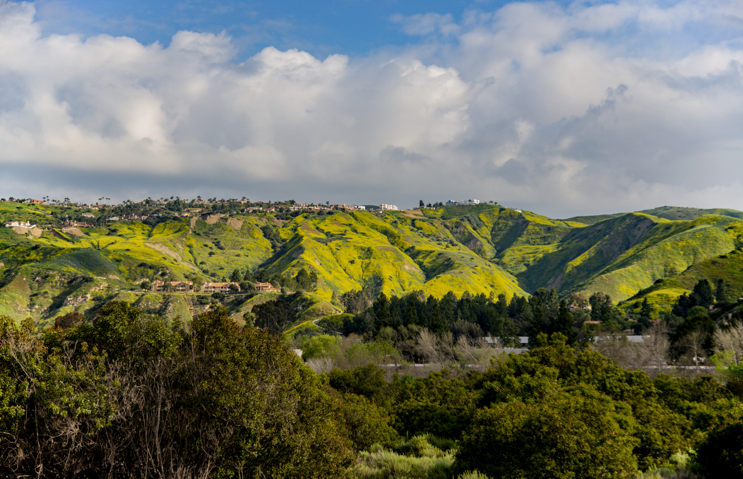 DSC_8758_1.jpg