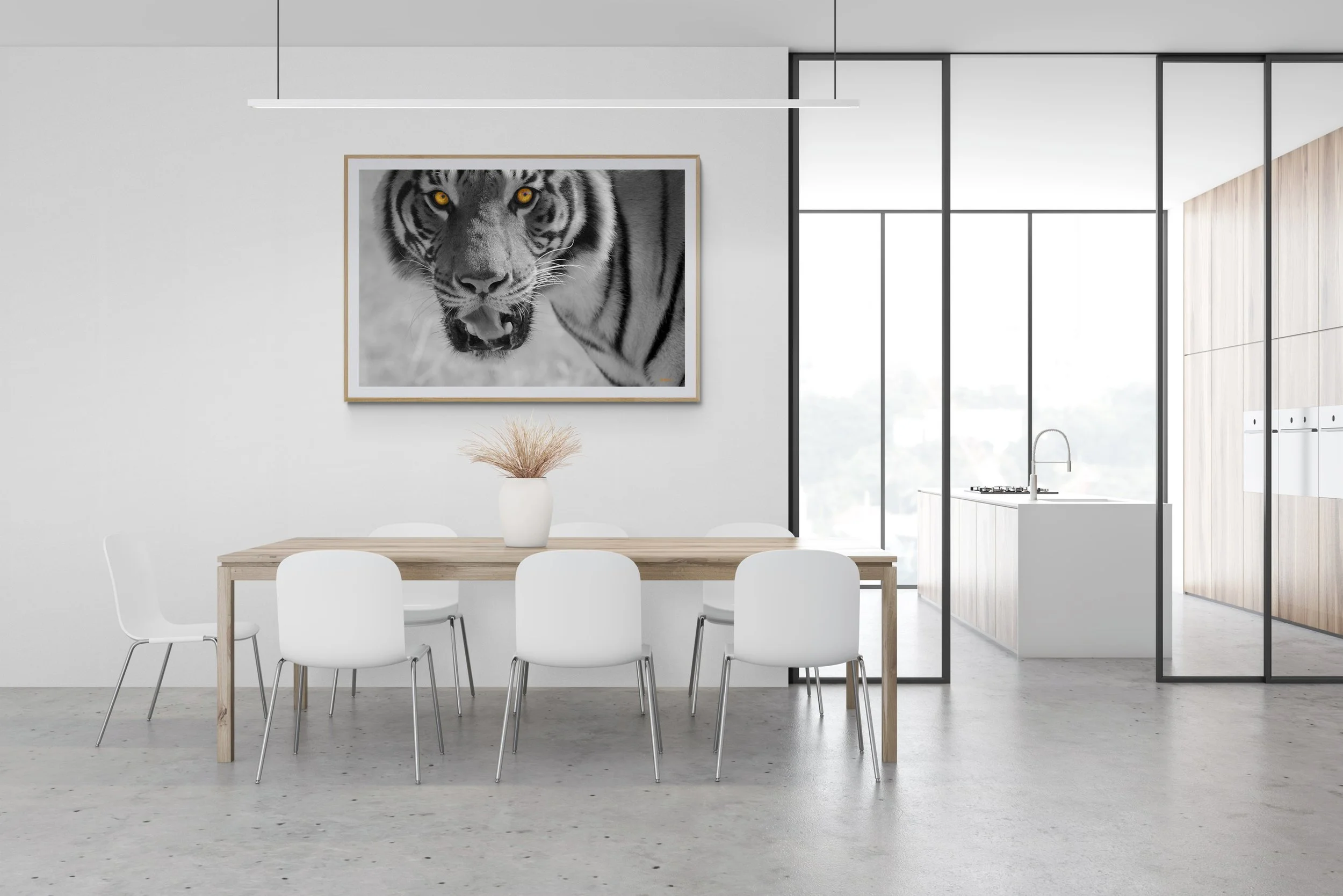 Tracking.Tiger.02.jpg