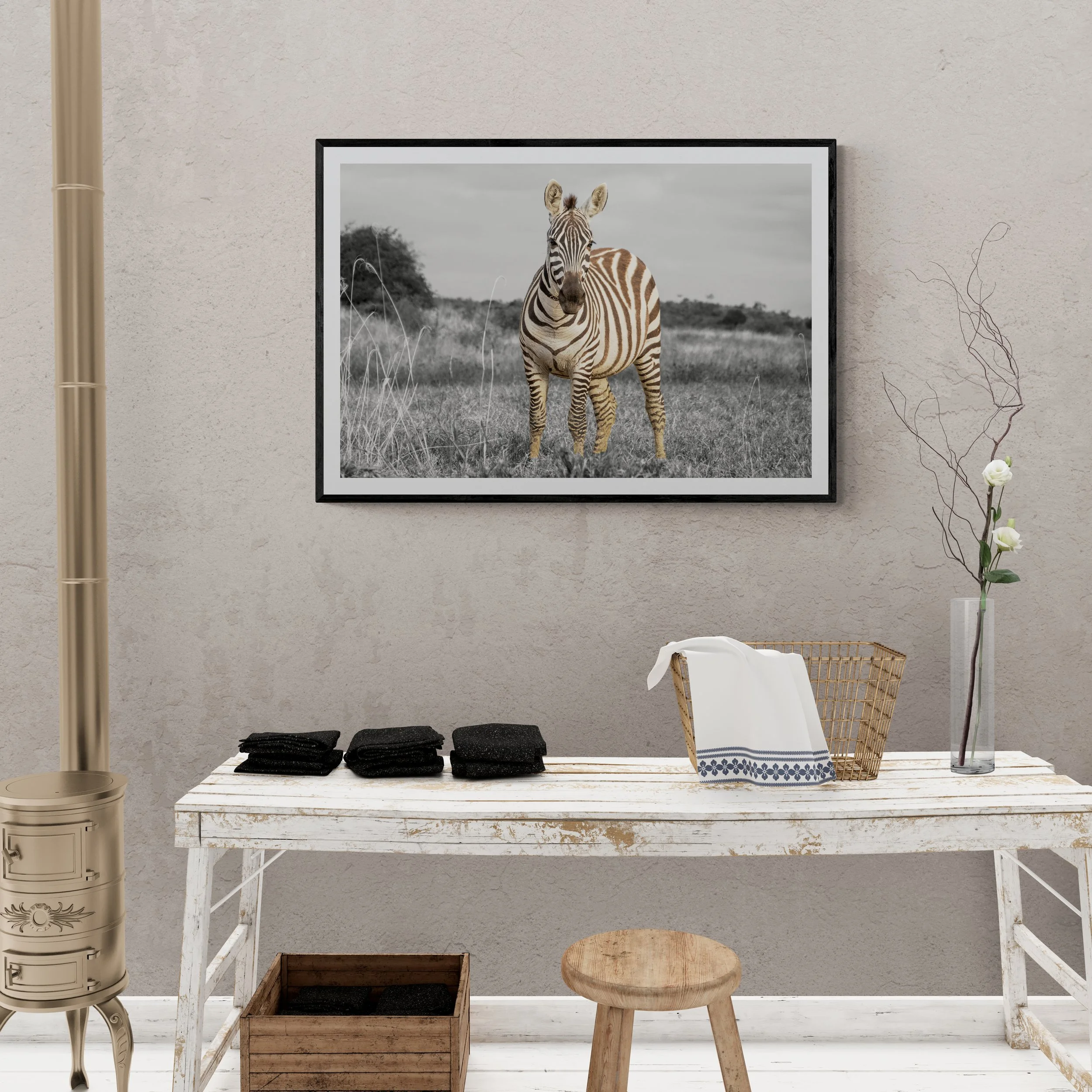 Zigzag.Zebra.0002.jpg