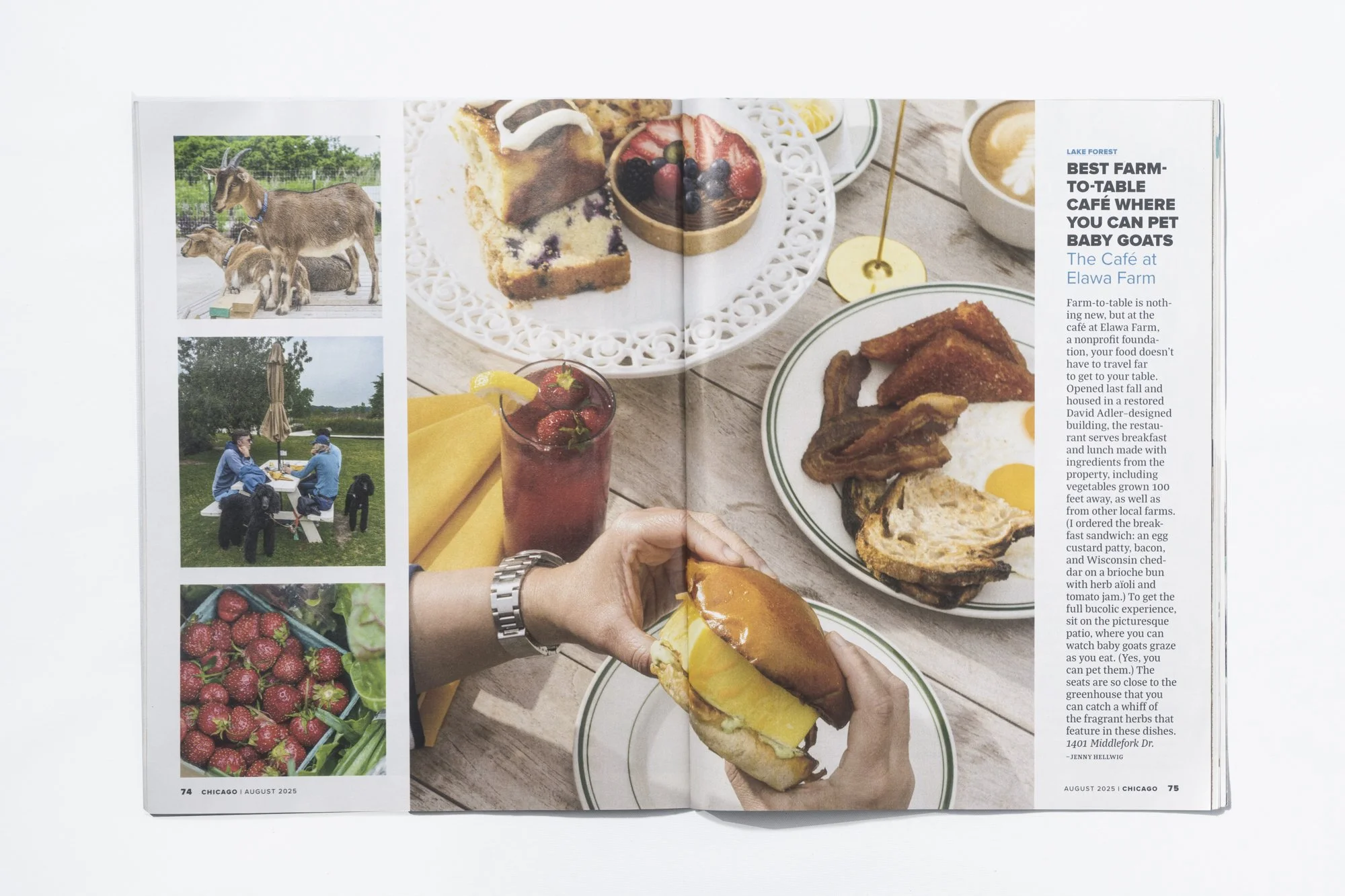 Portfolios0023 1.JPG