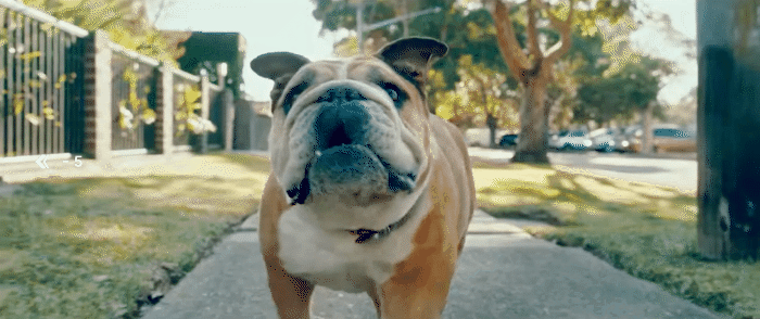 chrome-capture-2026-02-13 (2).gif