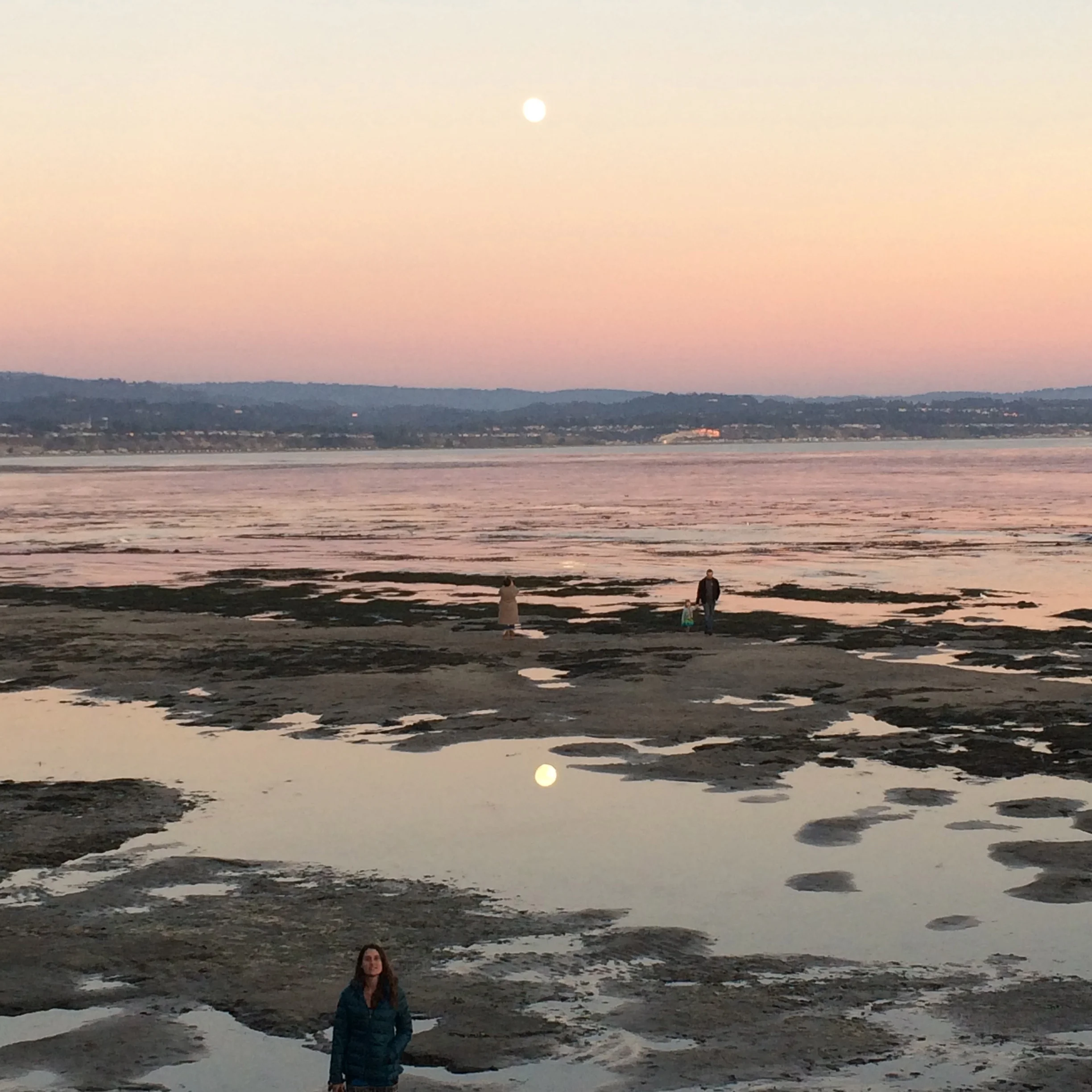 Healing the Feminine: Honoring Our Dreams and Intuition, Reclaiming our Medicine as Women- SWANA Women's Sacred Healing Circle