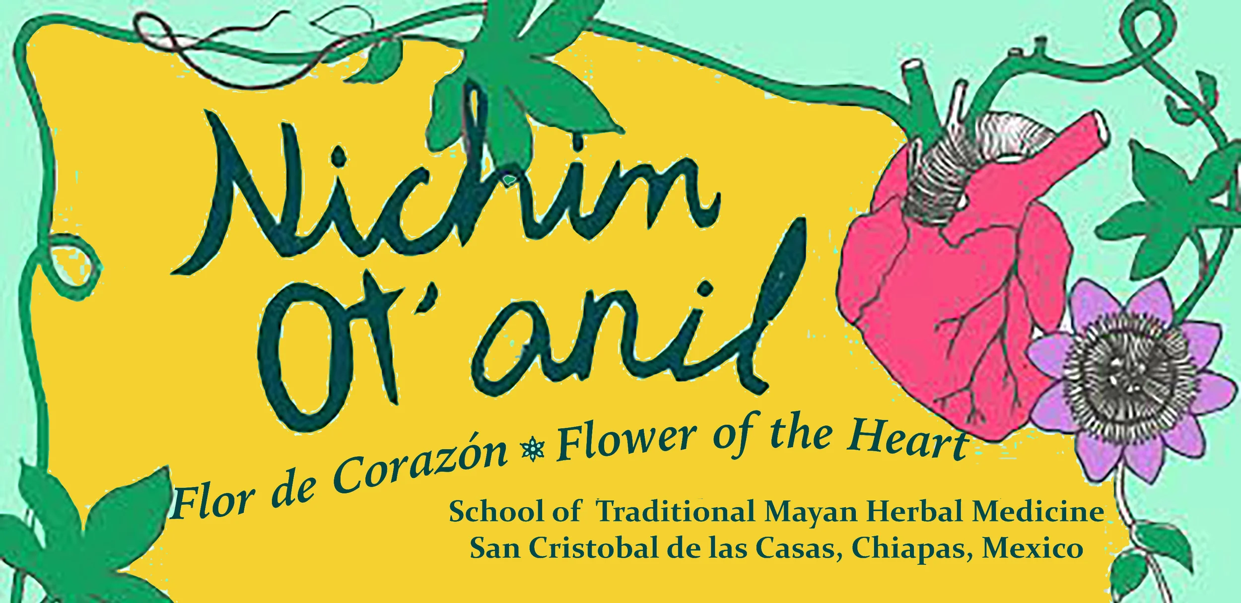 Ancestral Herbal Medicine Intensive Workshop, in Chiapas, Mexico