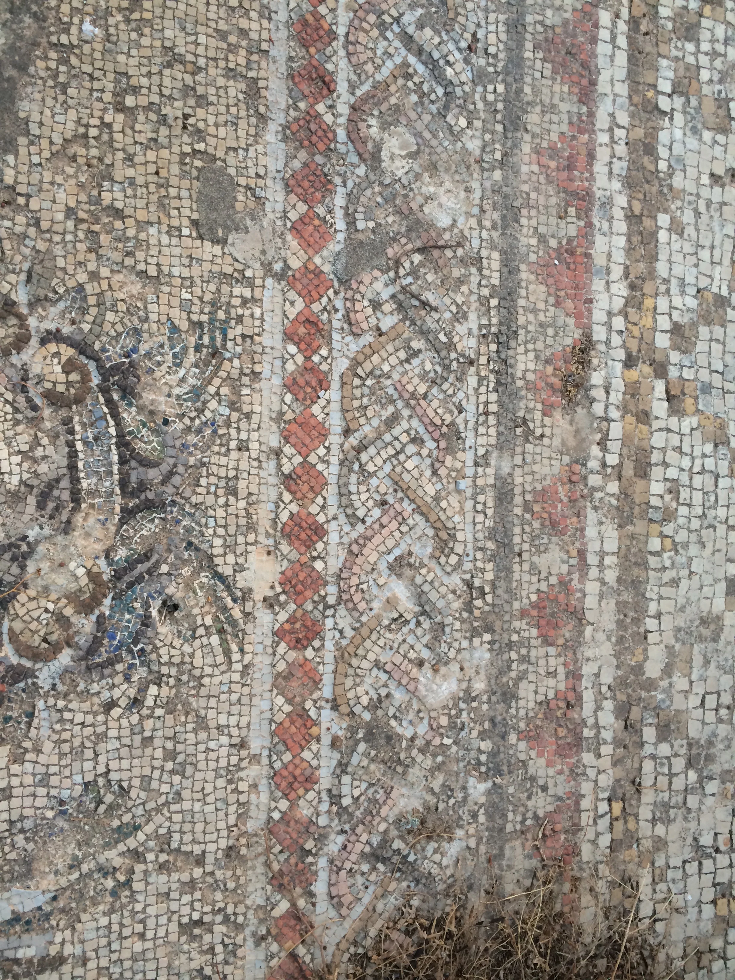 SWANA Plantcestral reMembrance: Exploring Plantcestors of our Cosmologies, Folklore, and "Magic"