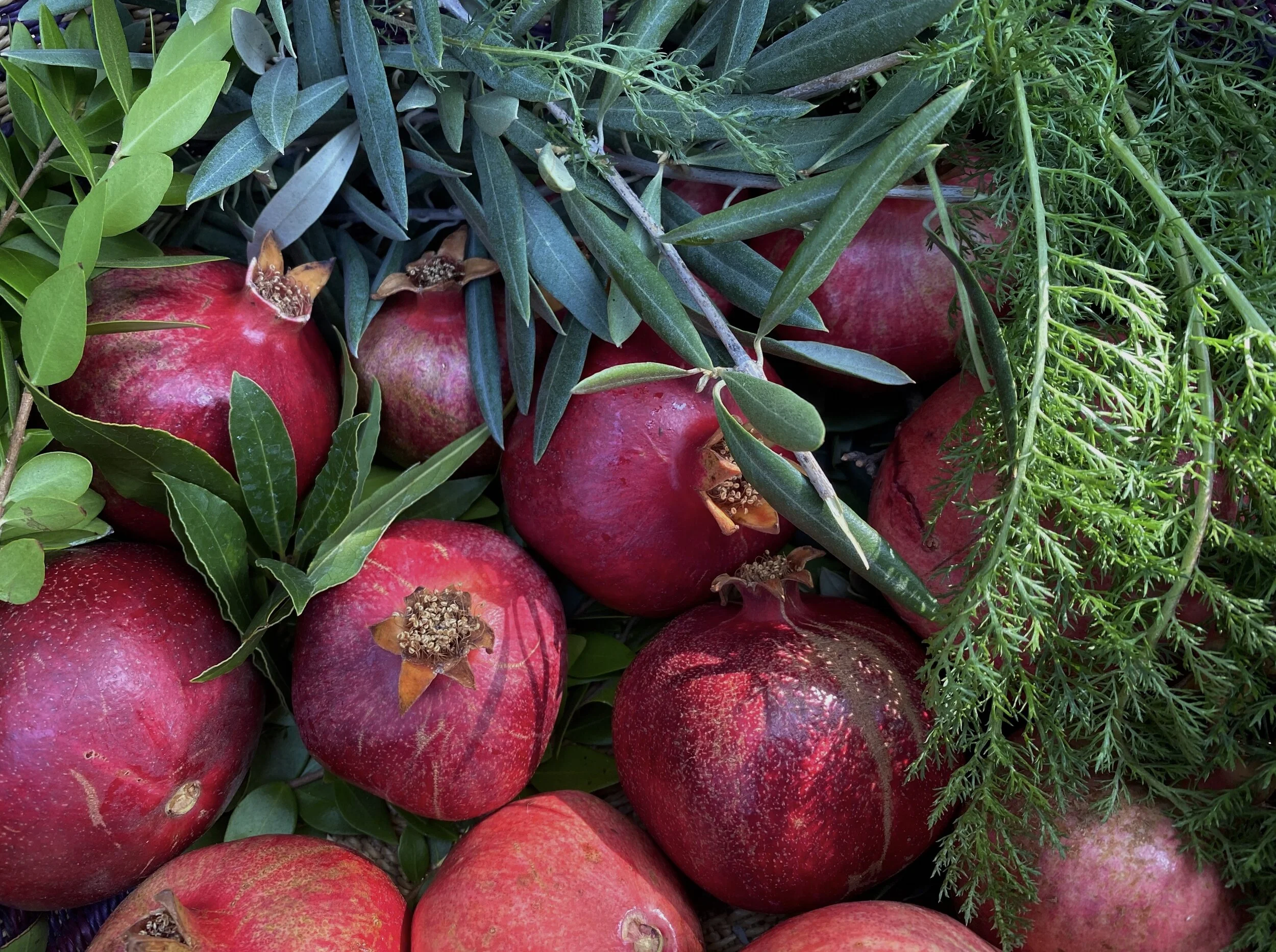 Basics of Herbal Energetics