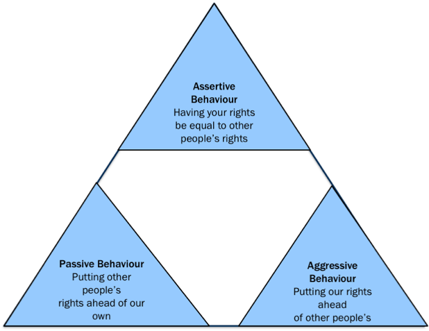 Assertion Triangle