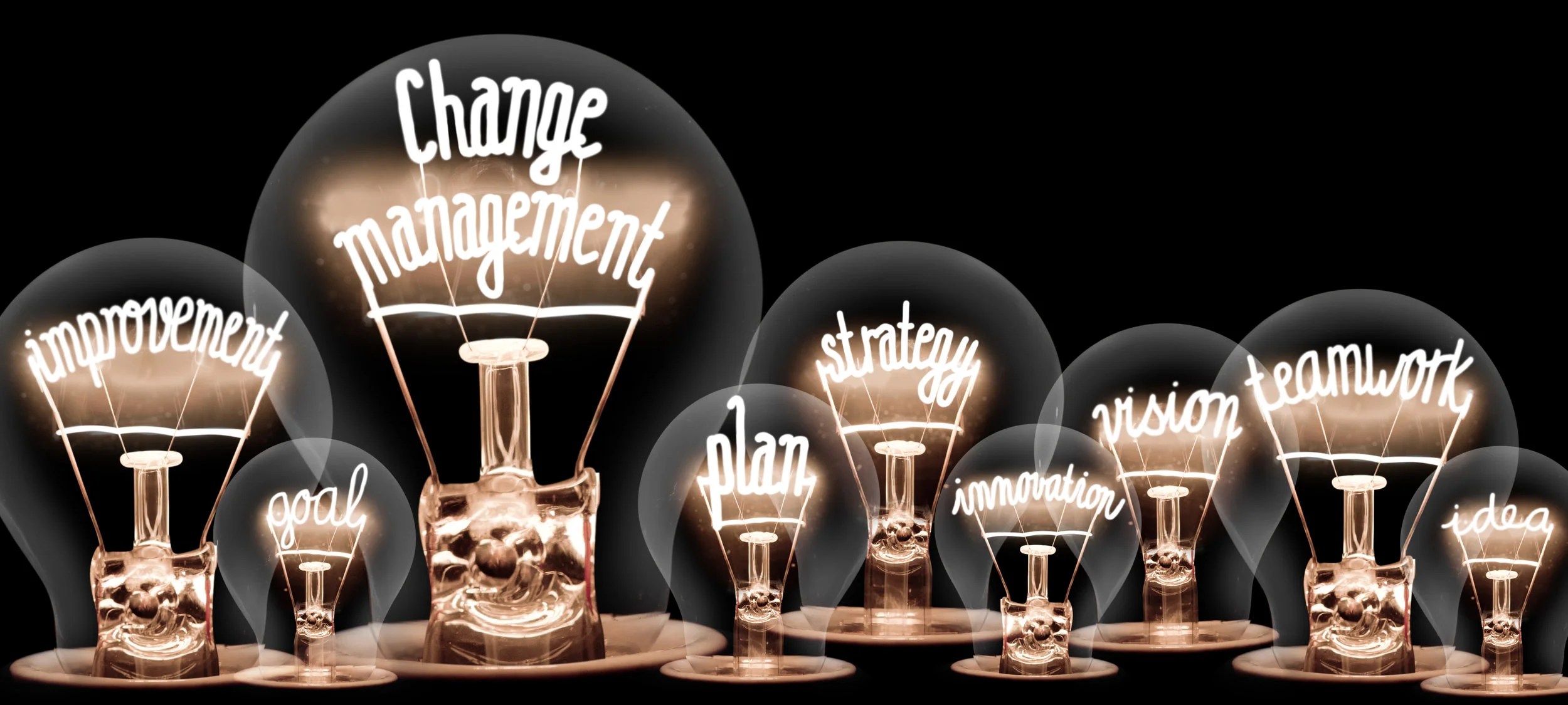 Why Invest in Change Management?