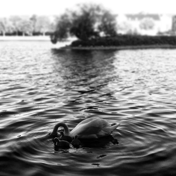 img-15.jpg