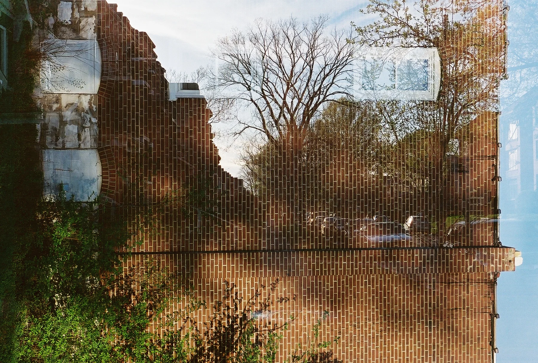 001_19.jpg
