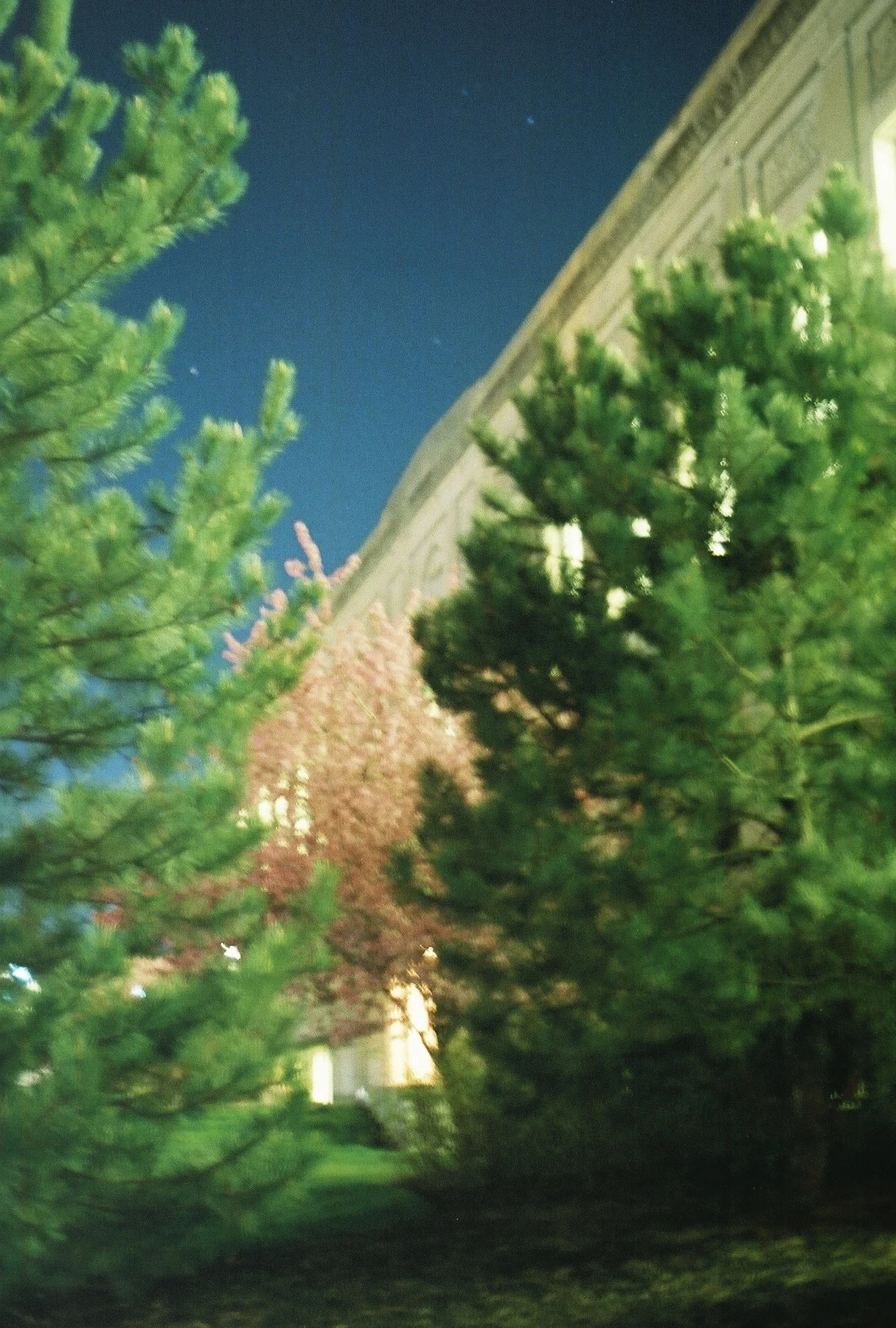001_25.jpg
