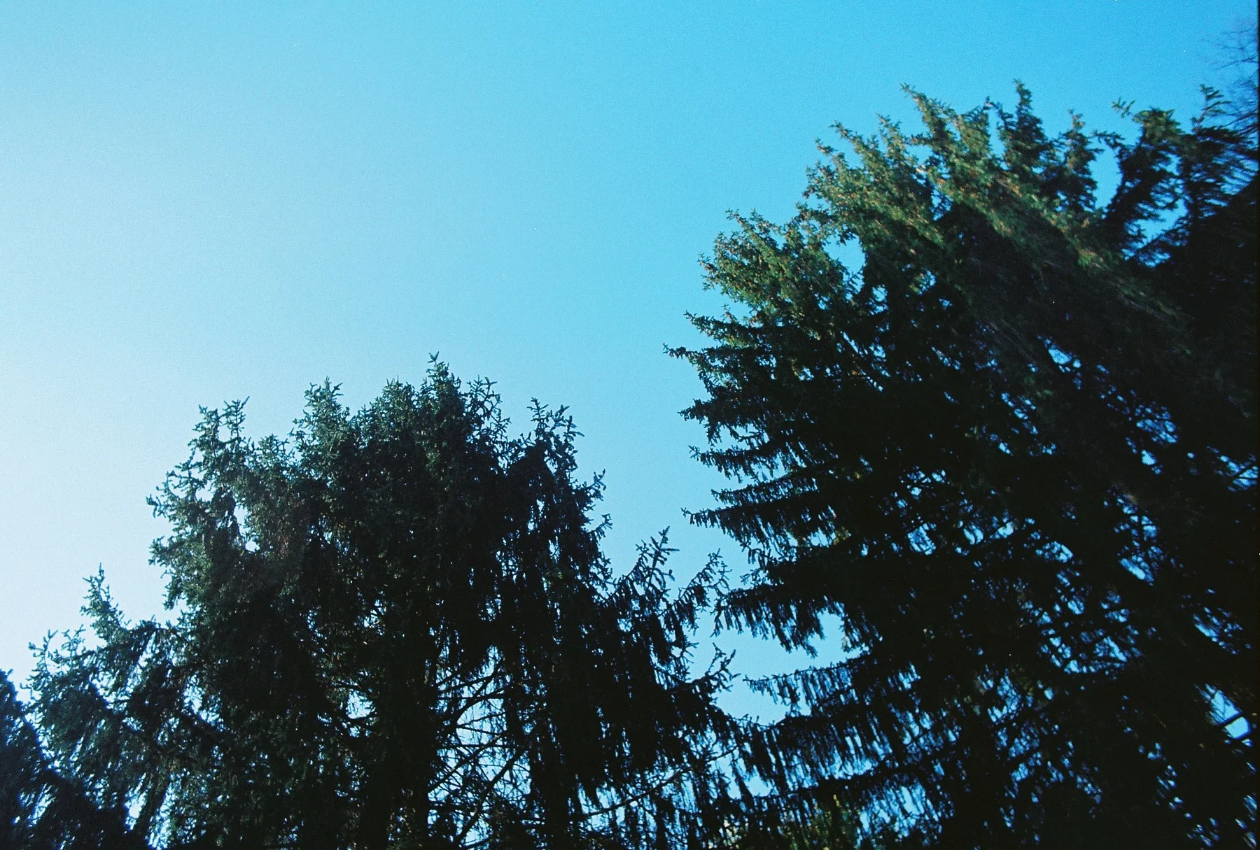 R1-06087-018A.jpg