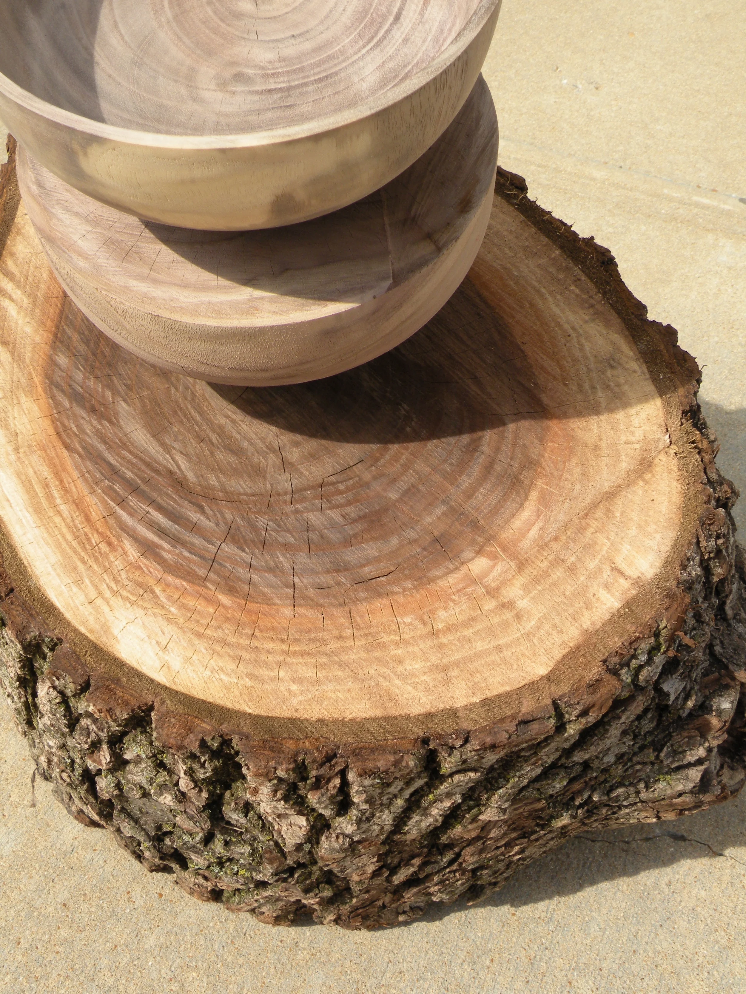  bowl, blank, stump_walnut, lathe, saint-like patience 