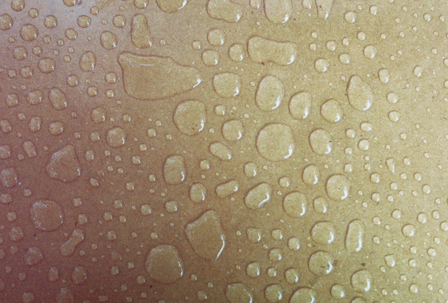 0003600_0003600-R1-E001.jpg