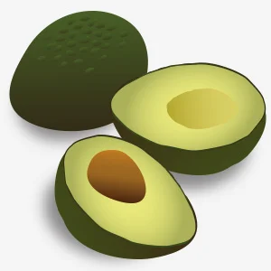 image_avocado01.jpg