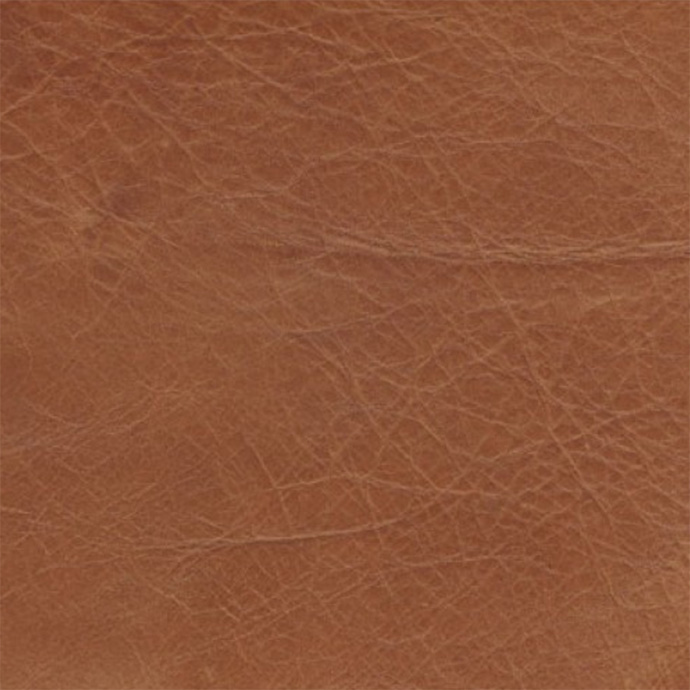 Saddle