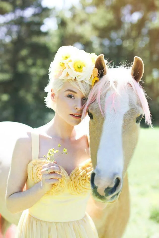 horse11.jpg