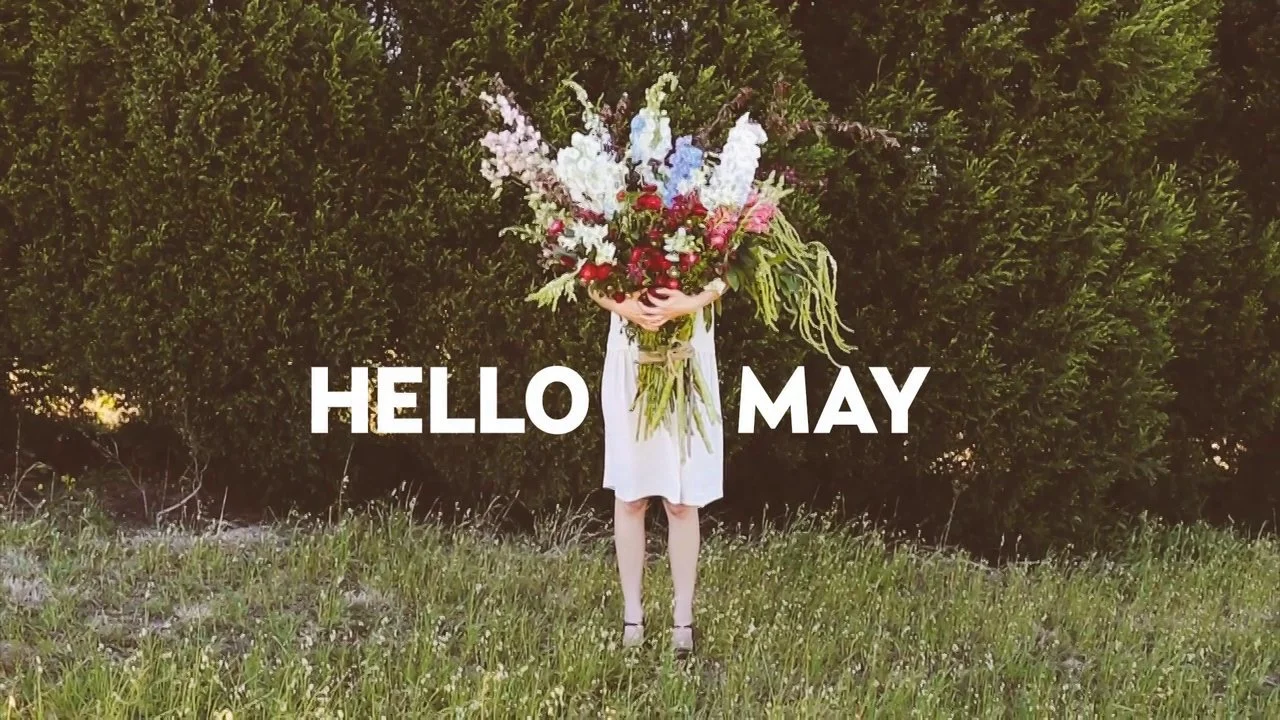 Hello May - The One with the Horse video