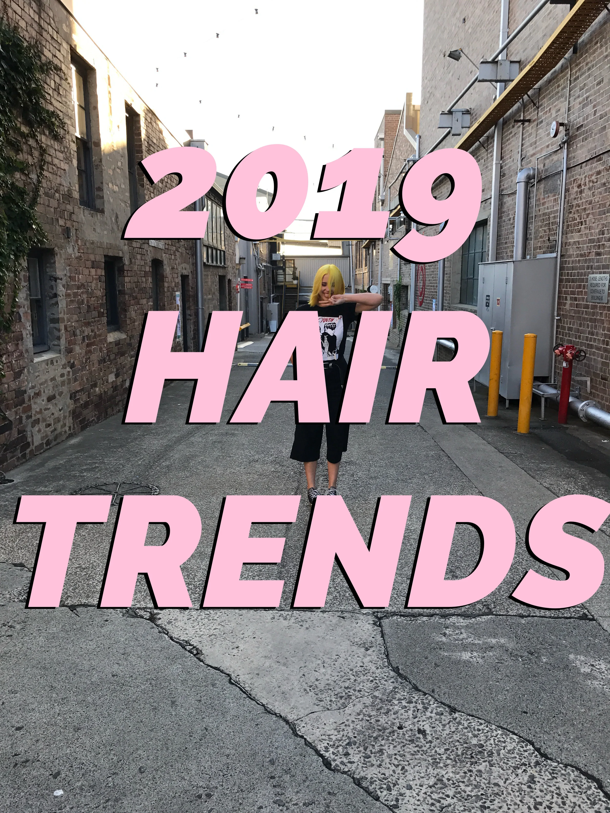 Top 5 Hair Trends for 2019