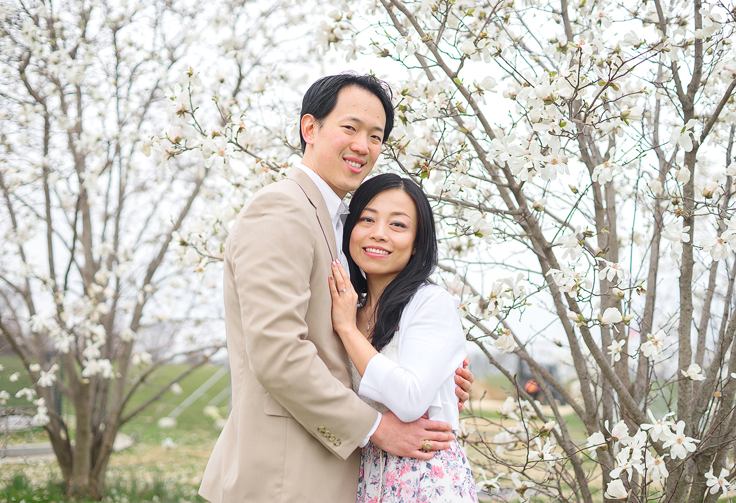 DC Cherry blossom festival engagement session