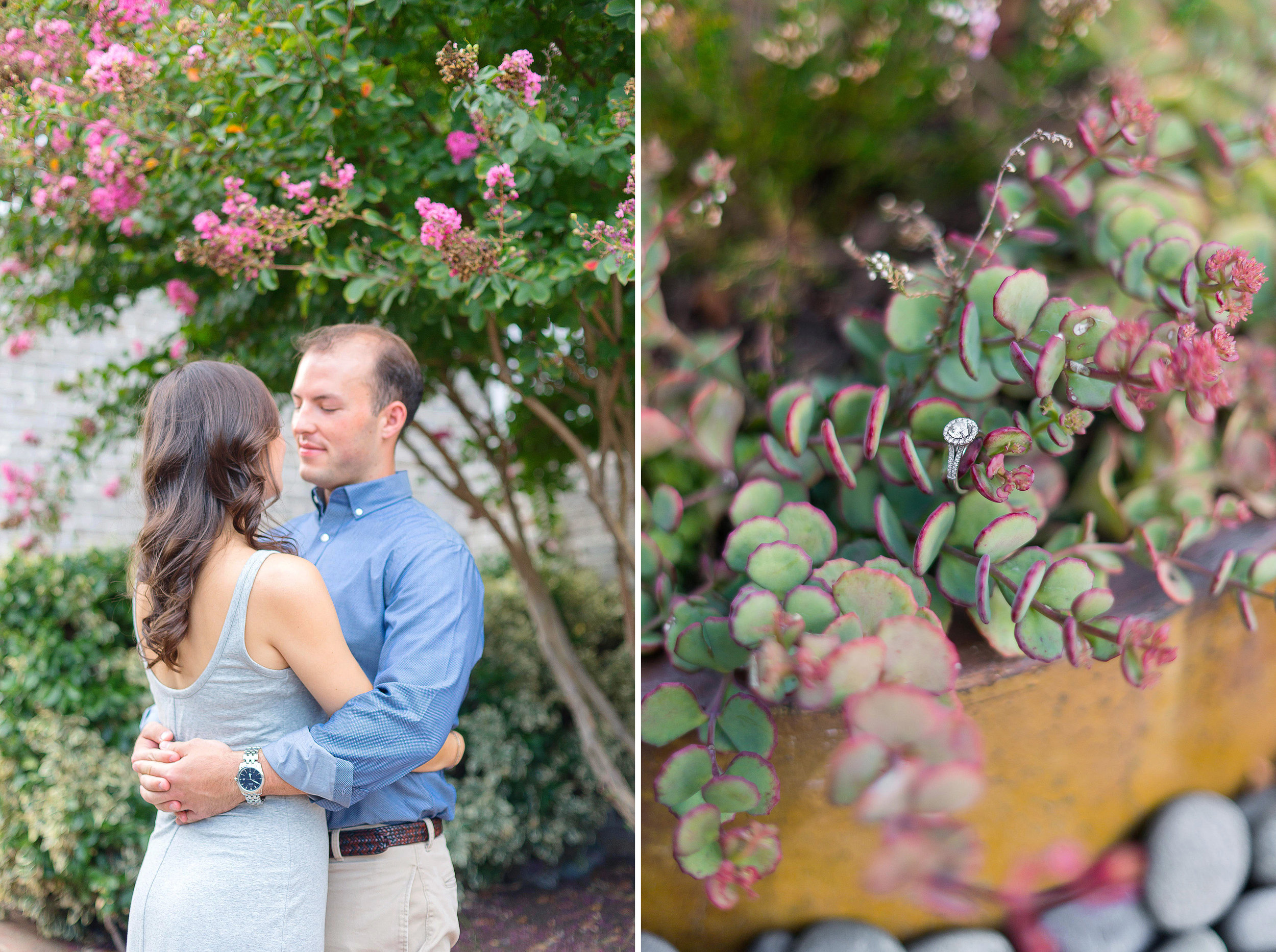 Engagement session in baltimore with succulent and cactus 