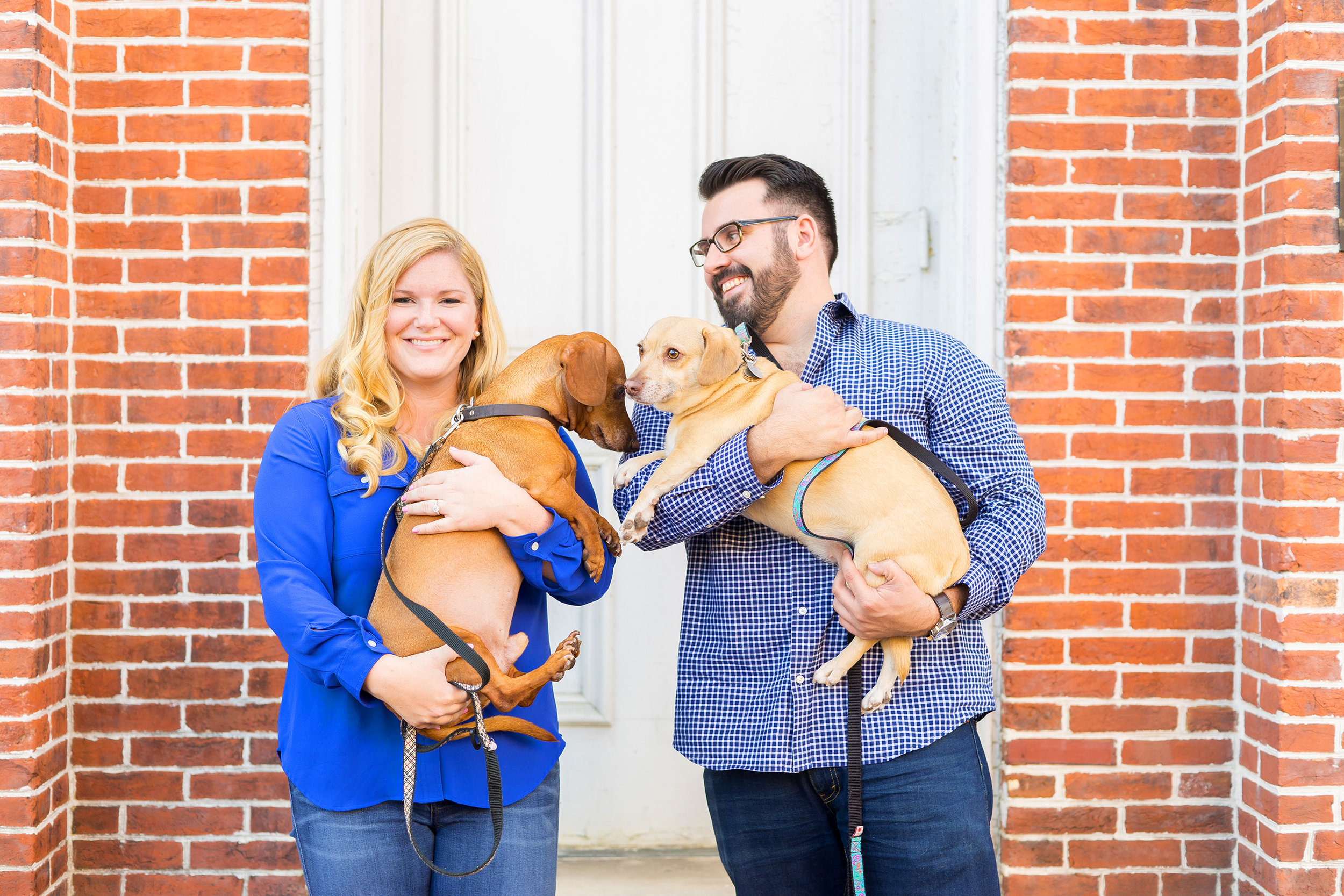old town alexandria engagement photos with dogs 