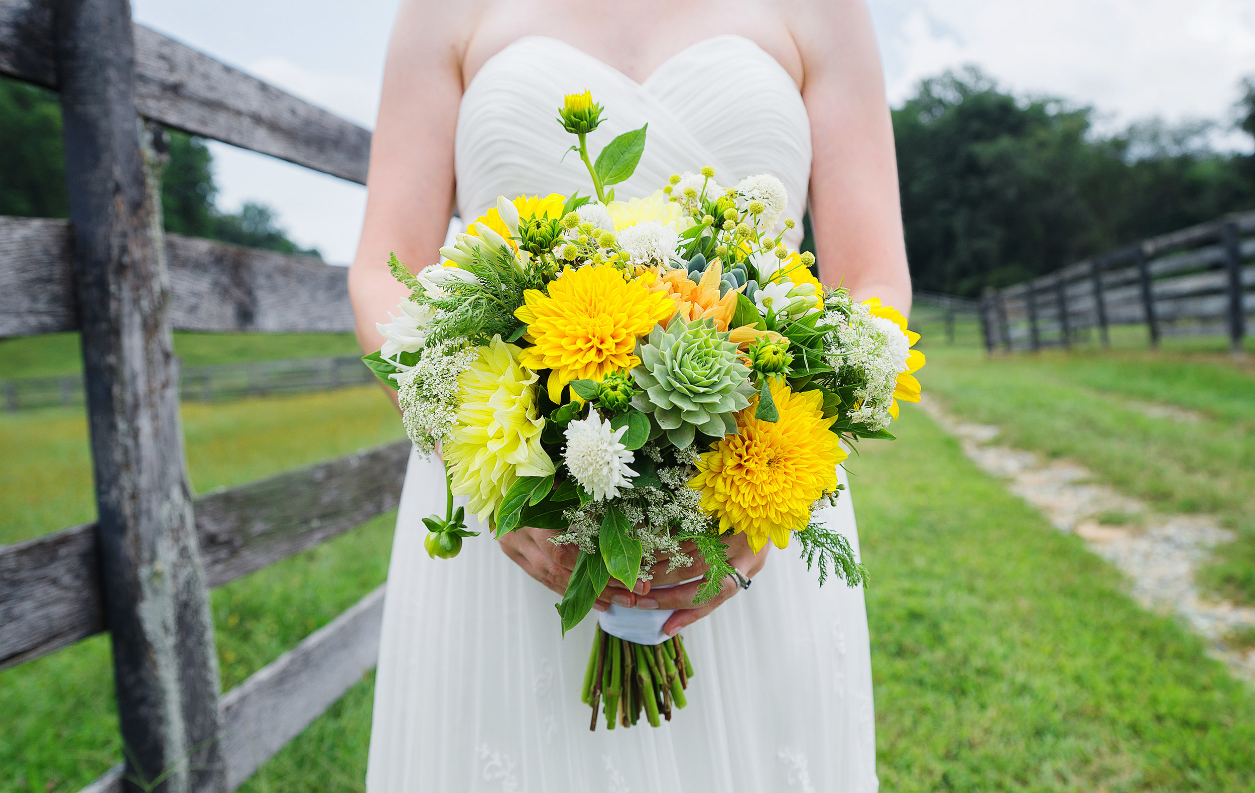 Succulent and dahlia bouquet at baltimore wedding photos