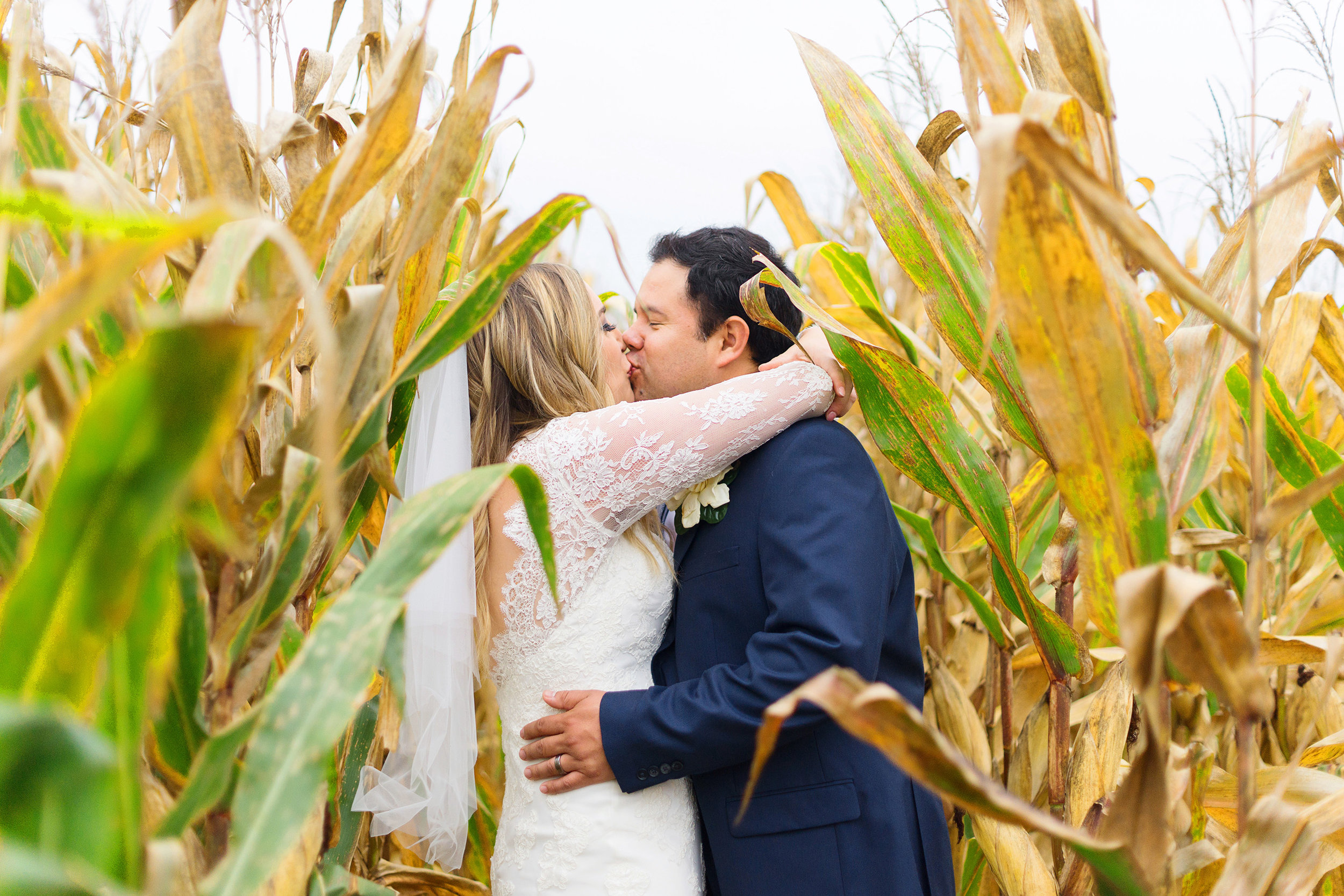 Corn field bride and groom wedding photos 