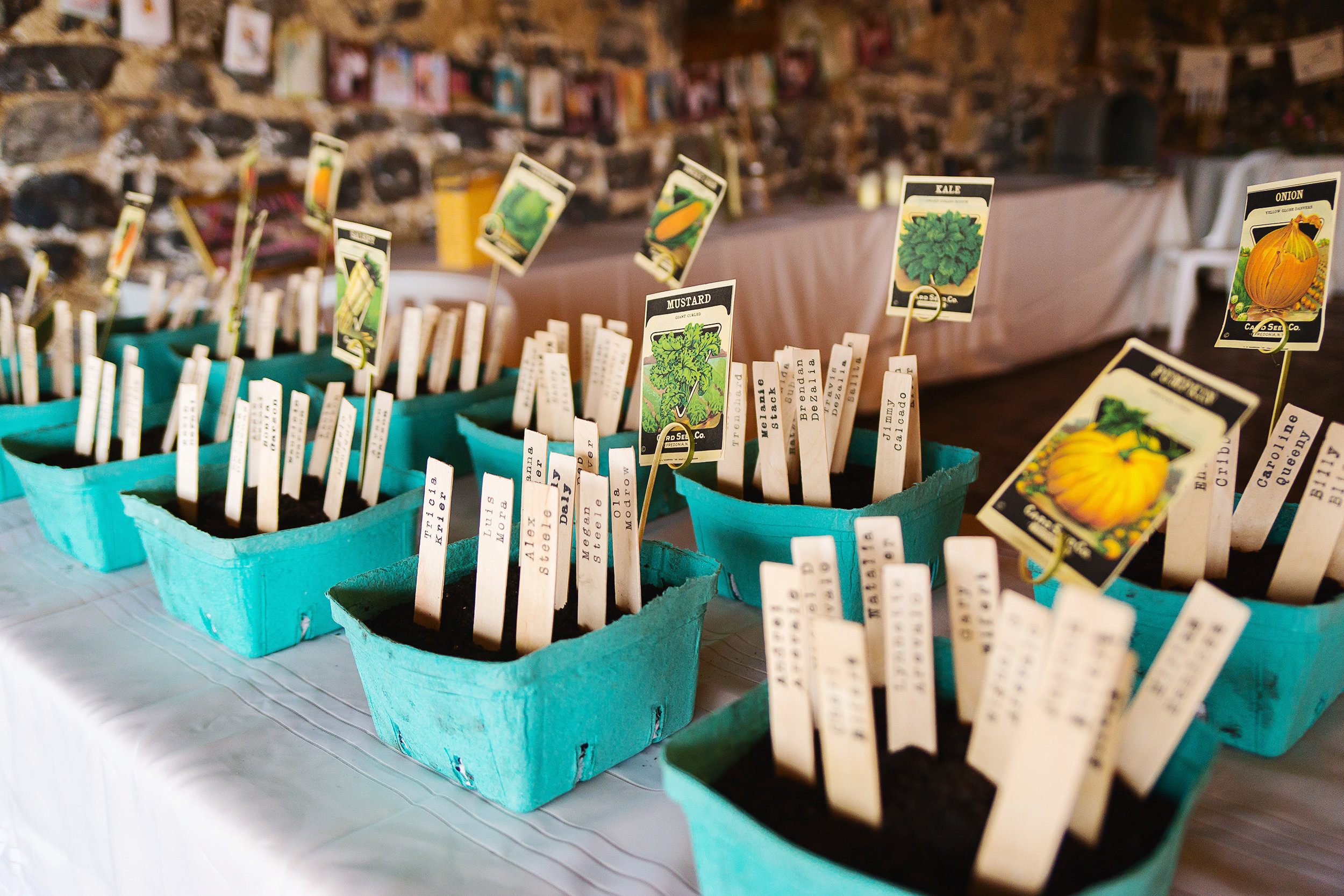 DIY wedding at a Maryland barn Elmwood Farm photos 