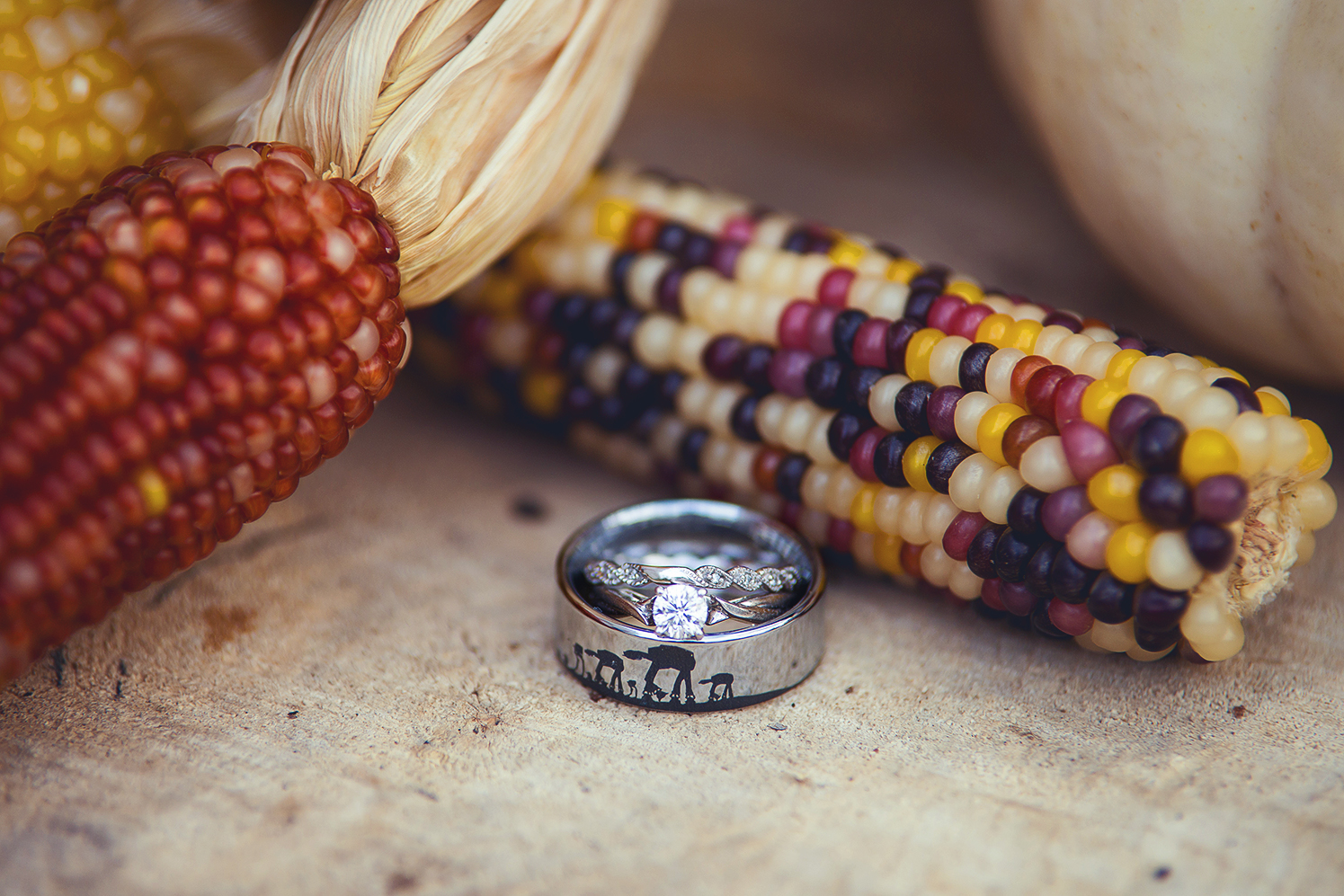 Steppingstone Museum Wedding photography