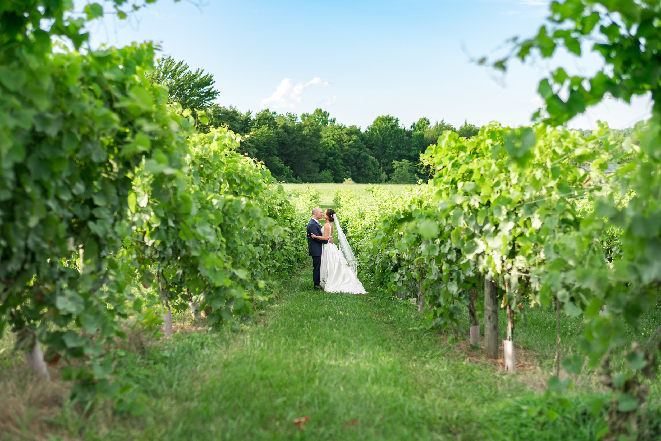 Springfield Manor vineyard wedding photos
