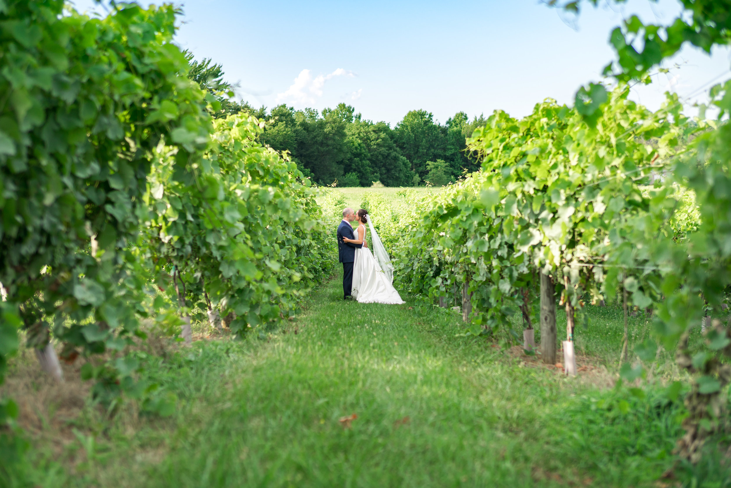 Springfield Manor vineyard wedding photos in maryland by jessica nazarova