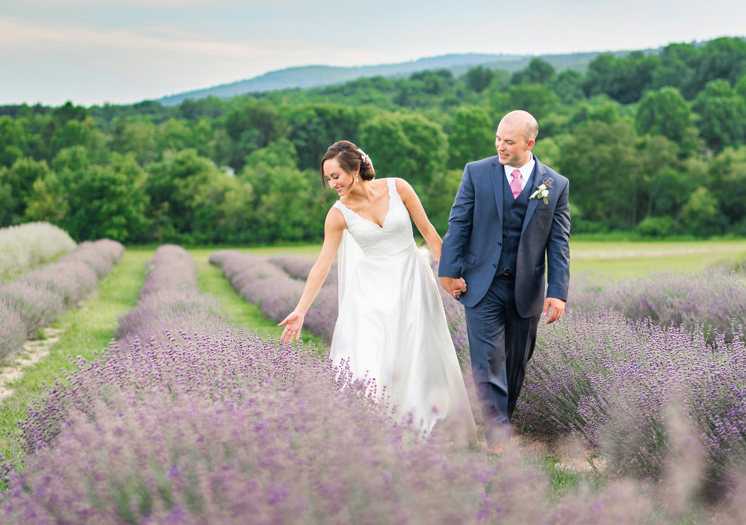 Springfield Manor Winery Distillery lavender fields with bride and groom