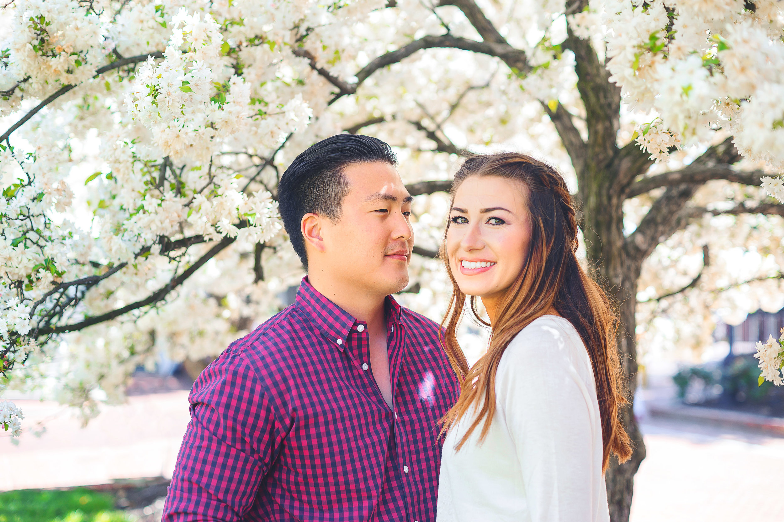 Cherry blossom washington dc annapolis engagement photos