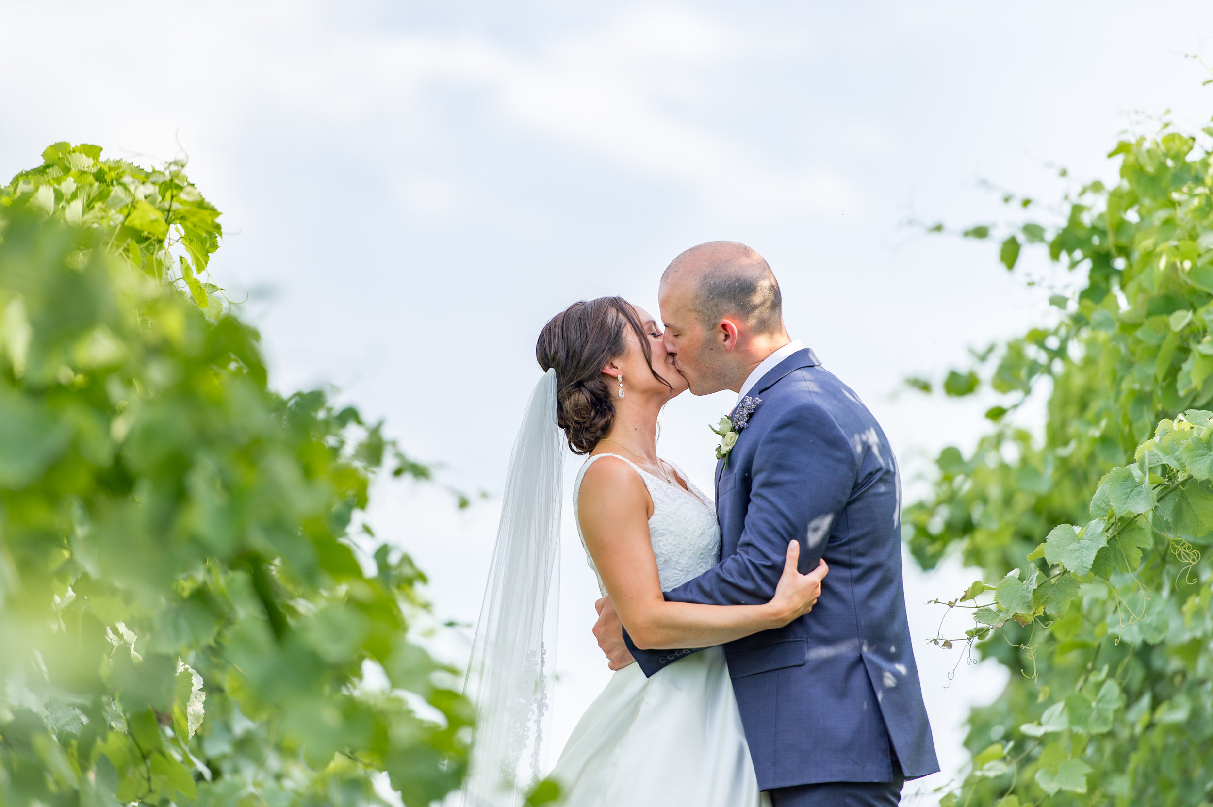 Bride and groom kissing in summer vineyard 