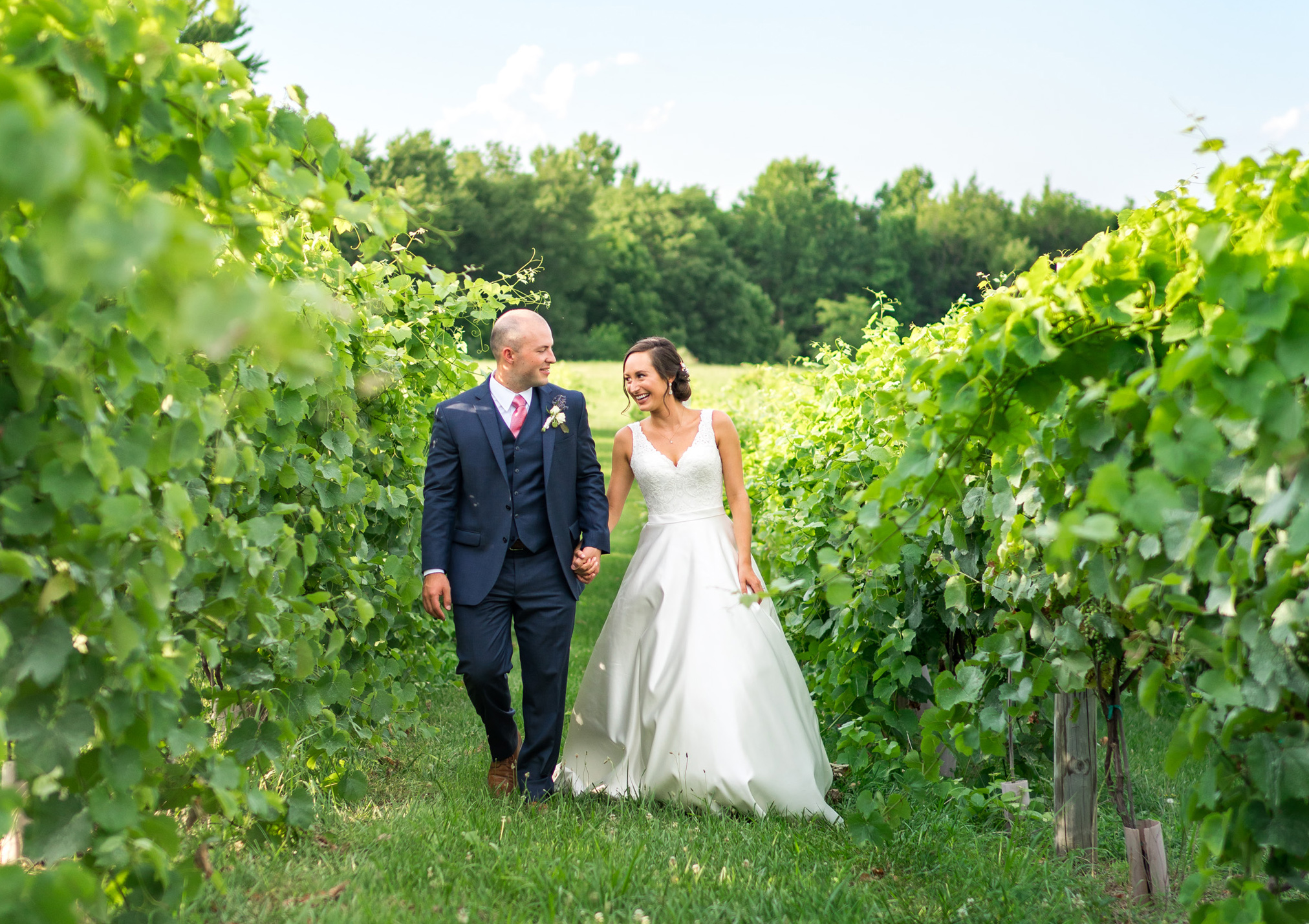 Winery and lavender field wedding in Virginia and Maryland