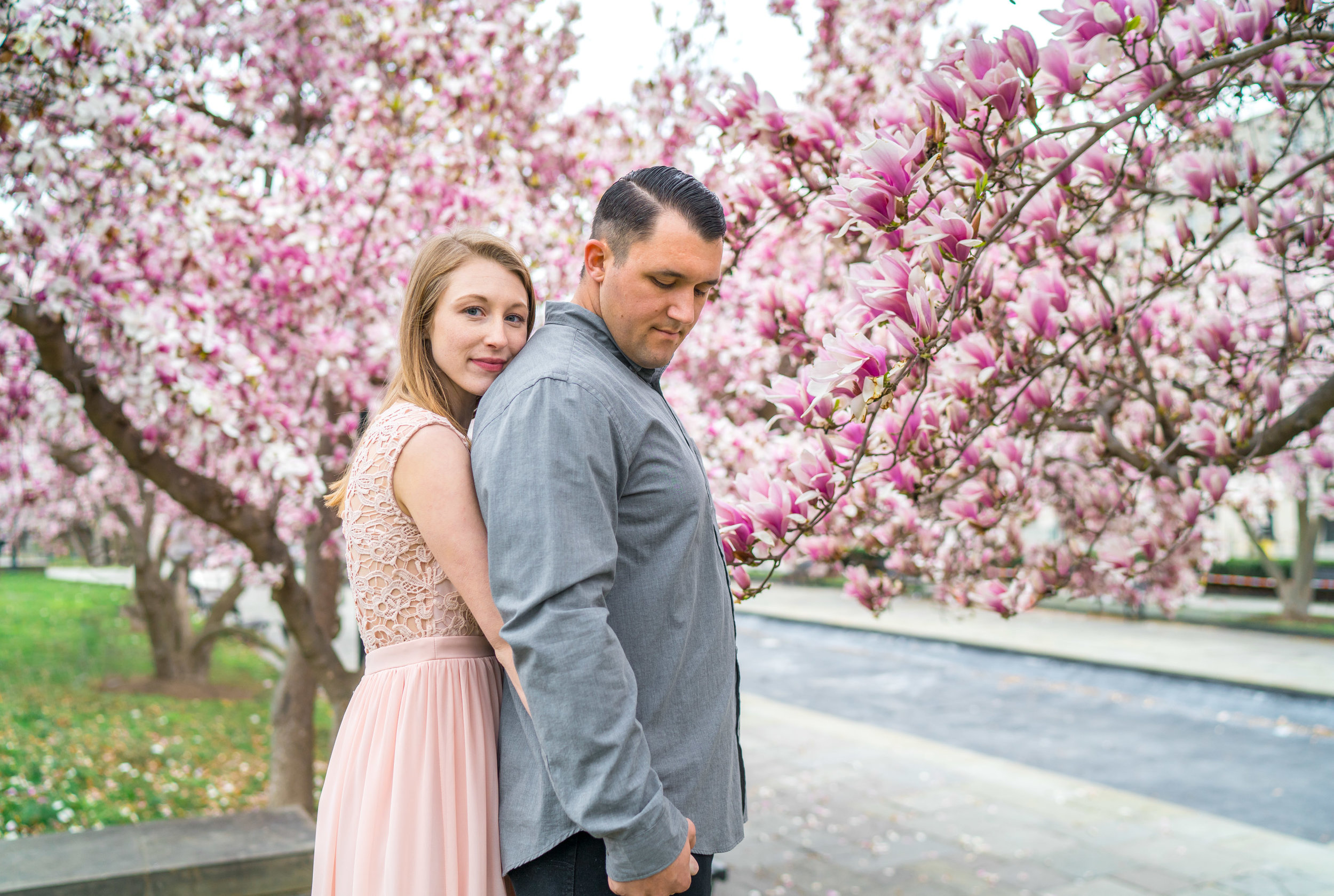 Engaged couple standing among cherry blossoms in Washington DC