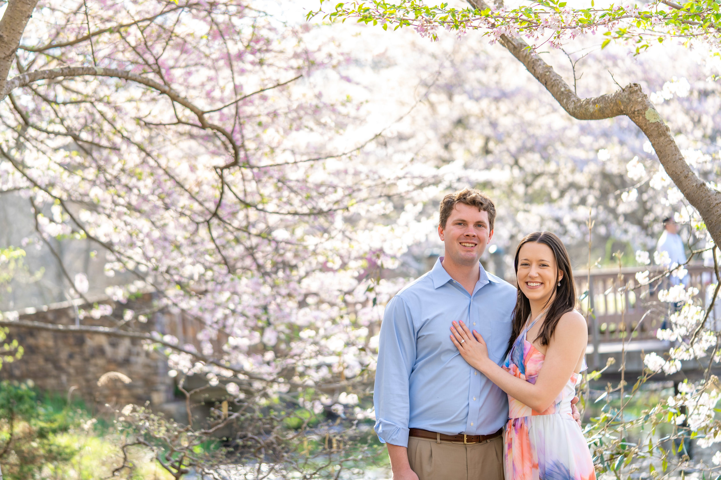 Spring cherry blossoms at Meadowlark Botanic Garden