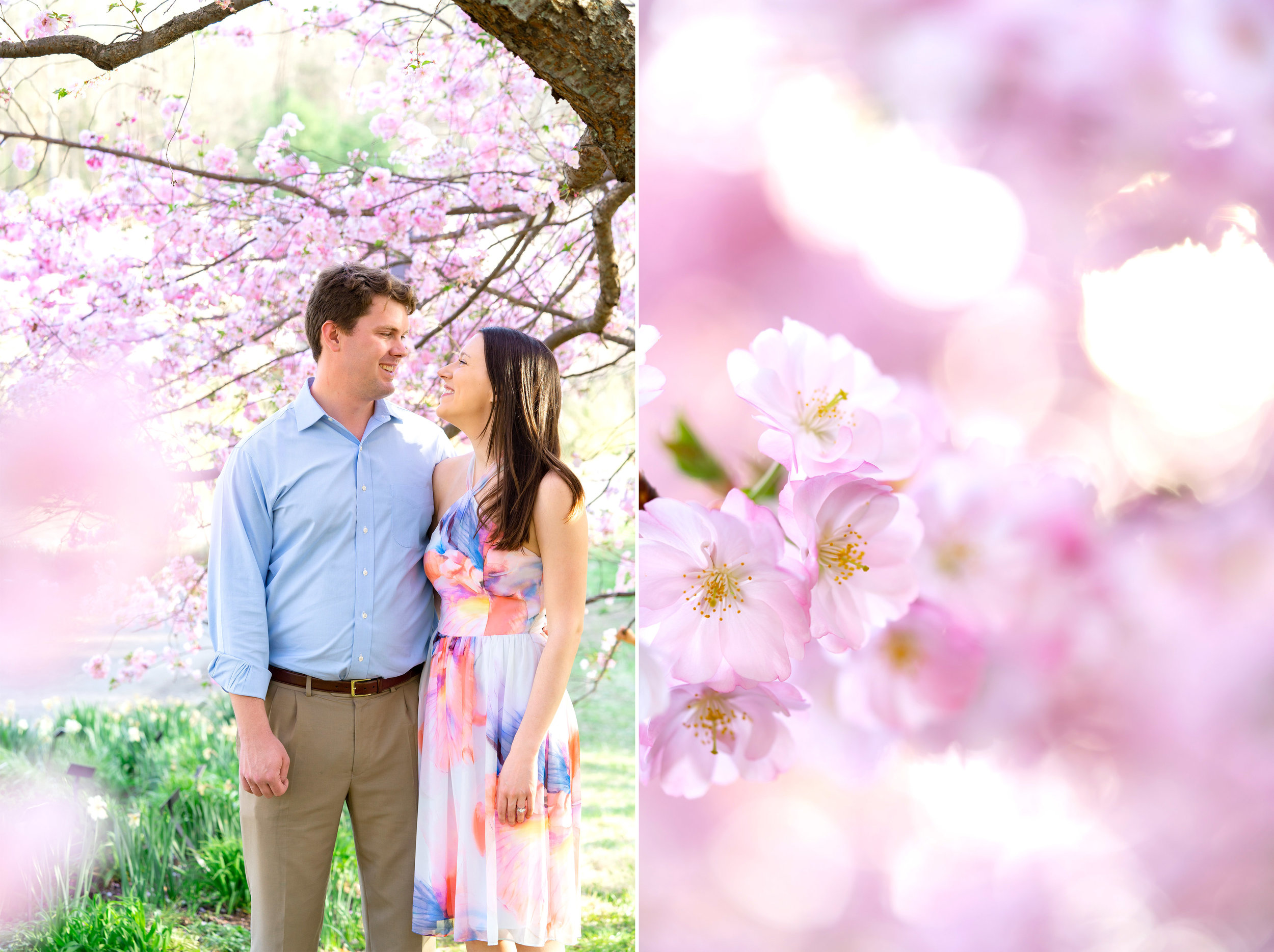 Bride and groom standing in cherry blossoms at Meadowlark Botanical Gardens