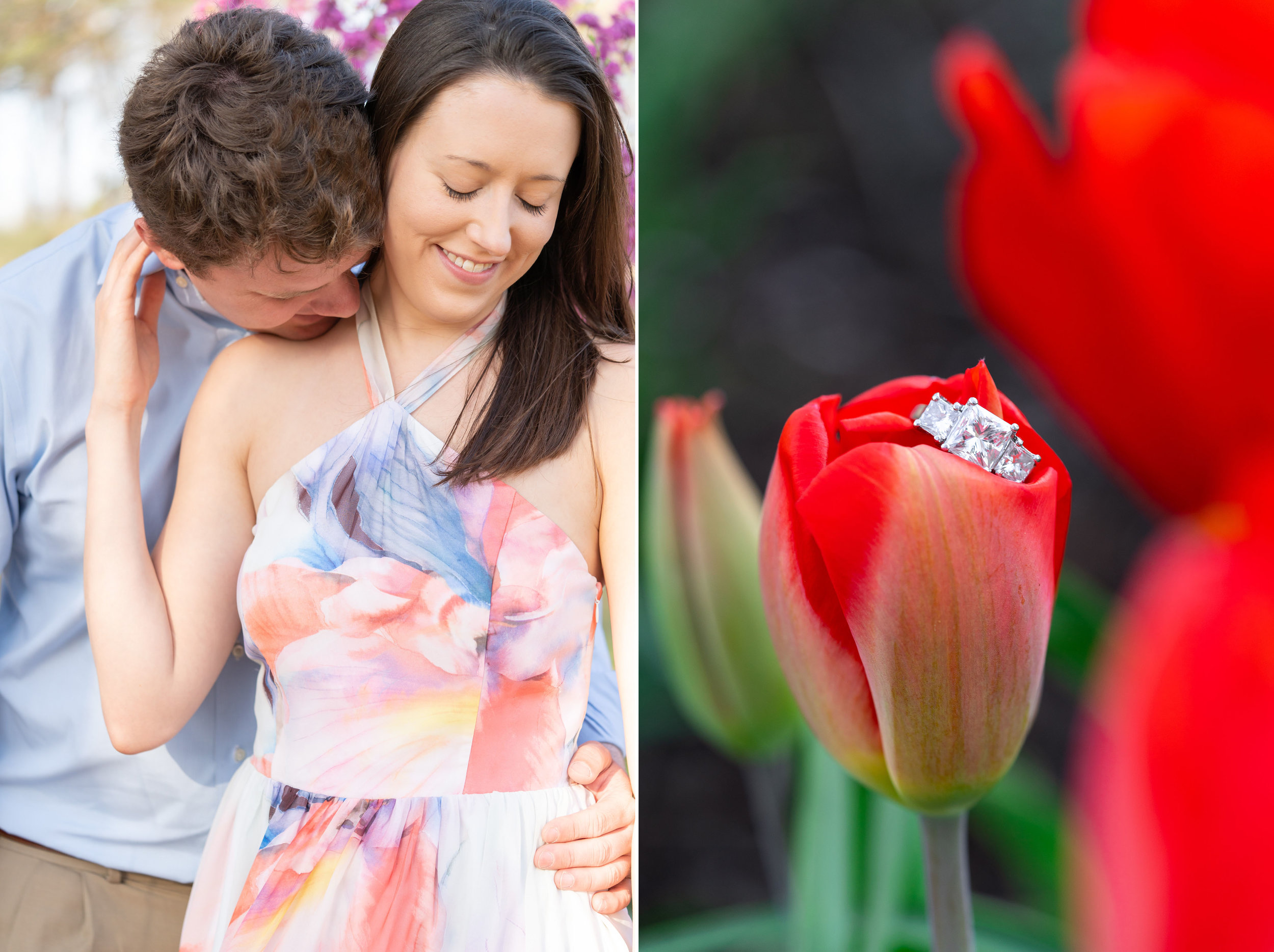 Three stone engagement ring on a red tulip at Meadowlark Gardens